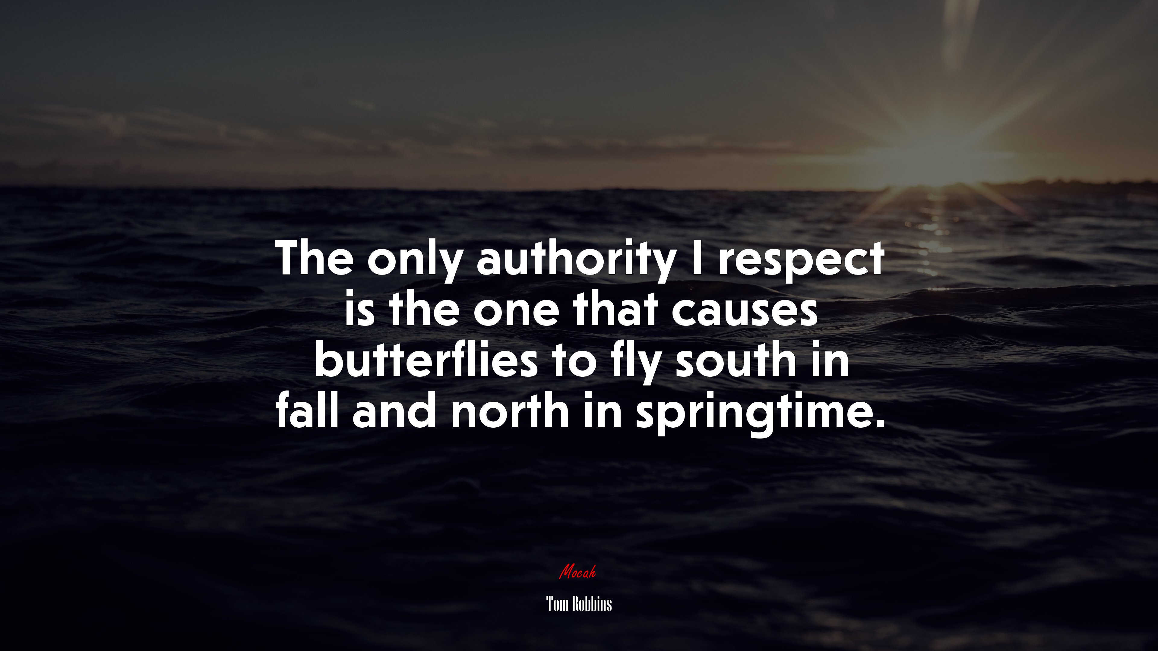 The only authority I respect is the one that causes butterflies to fly south in fall and north in springtime. | Tom Robbins quote HD Wallpaper