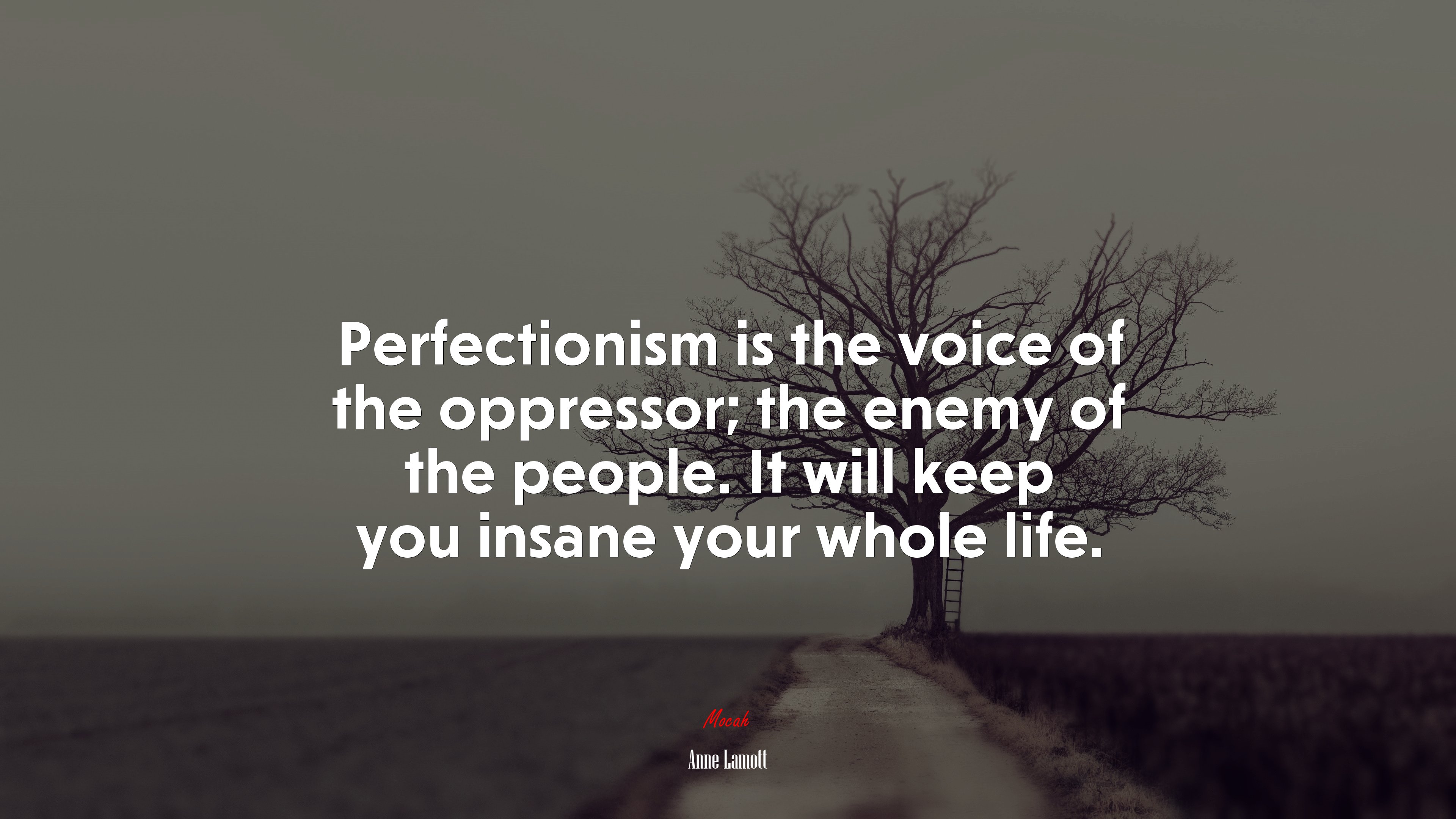 Perfectionism is the voice of the oppressor; the enemy of the people. It will keep you insane your whole life. | Anne Lamott quote HD Wallpaper