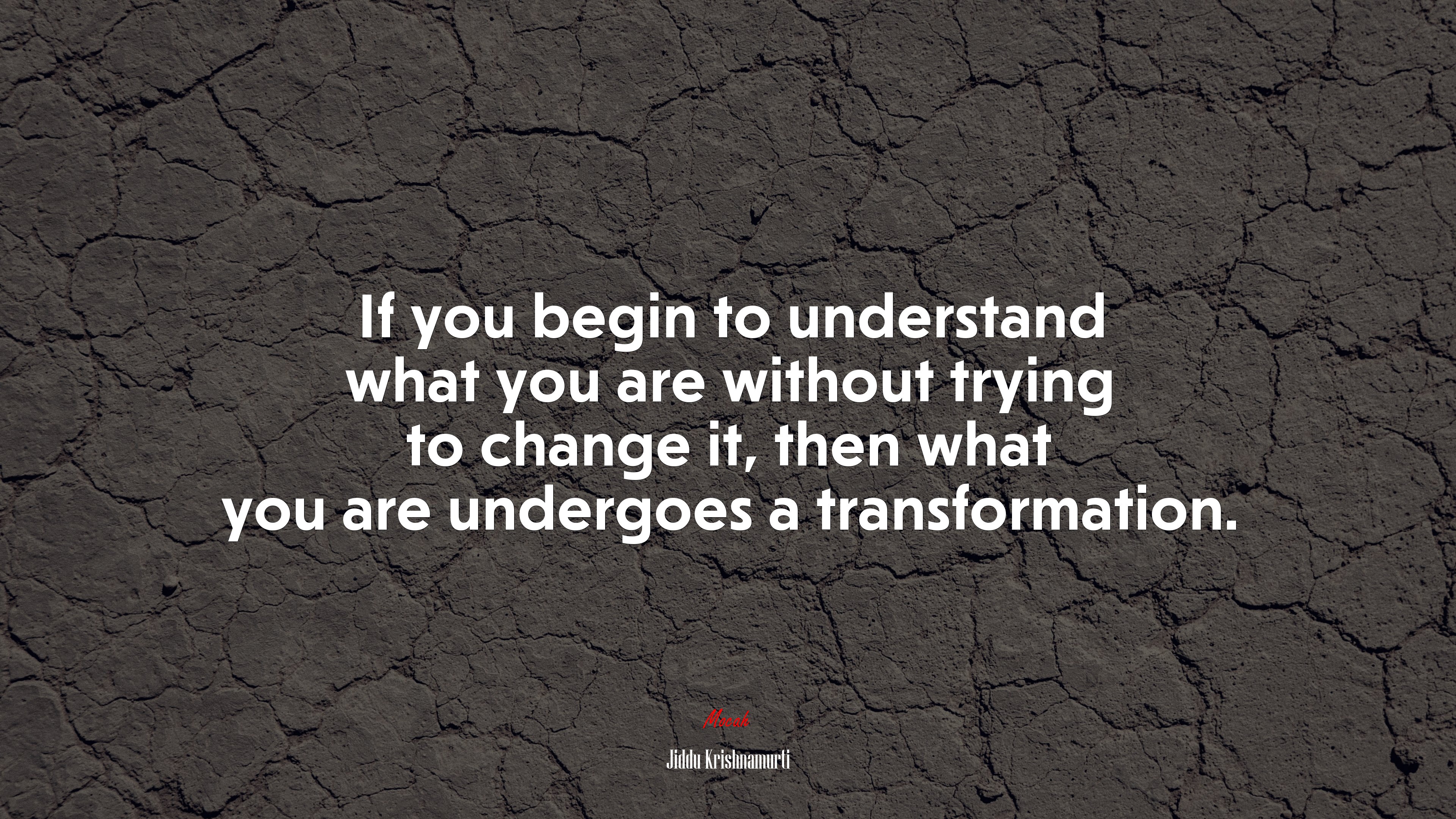 If you begin to understand what you are without trying to change it, then what you are undergoes a transformation. | Jiddu Krishnamurti quote HD Wallpaper