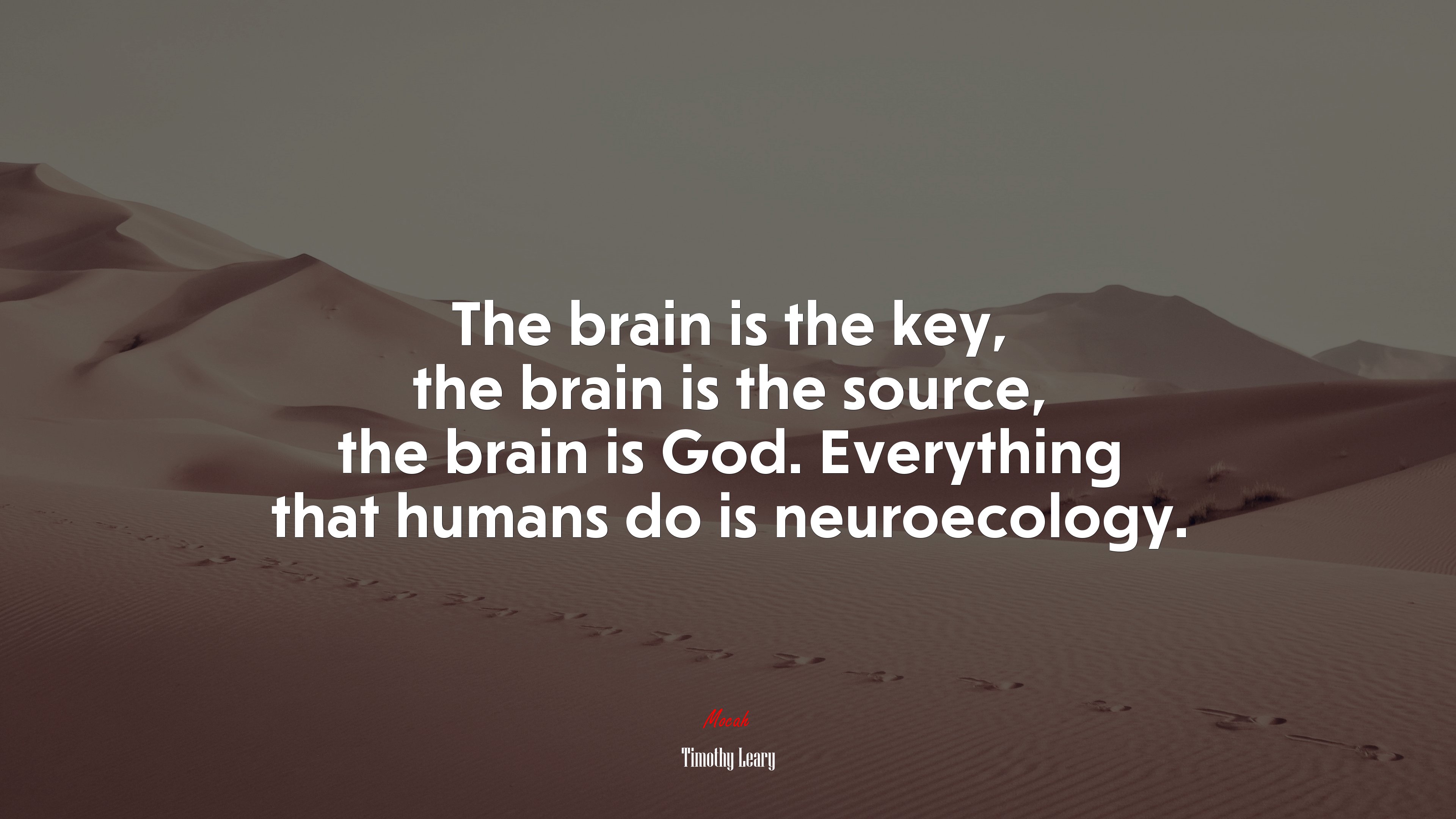 The brain is the key, the brain is the source, the brain is God. Everything that humans do is neuroecology. | Timothy Leary quote HD Wallpaper