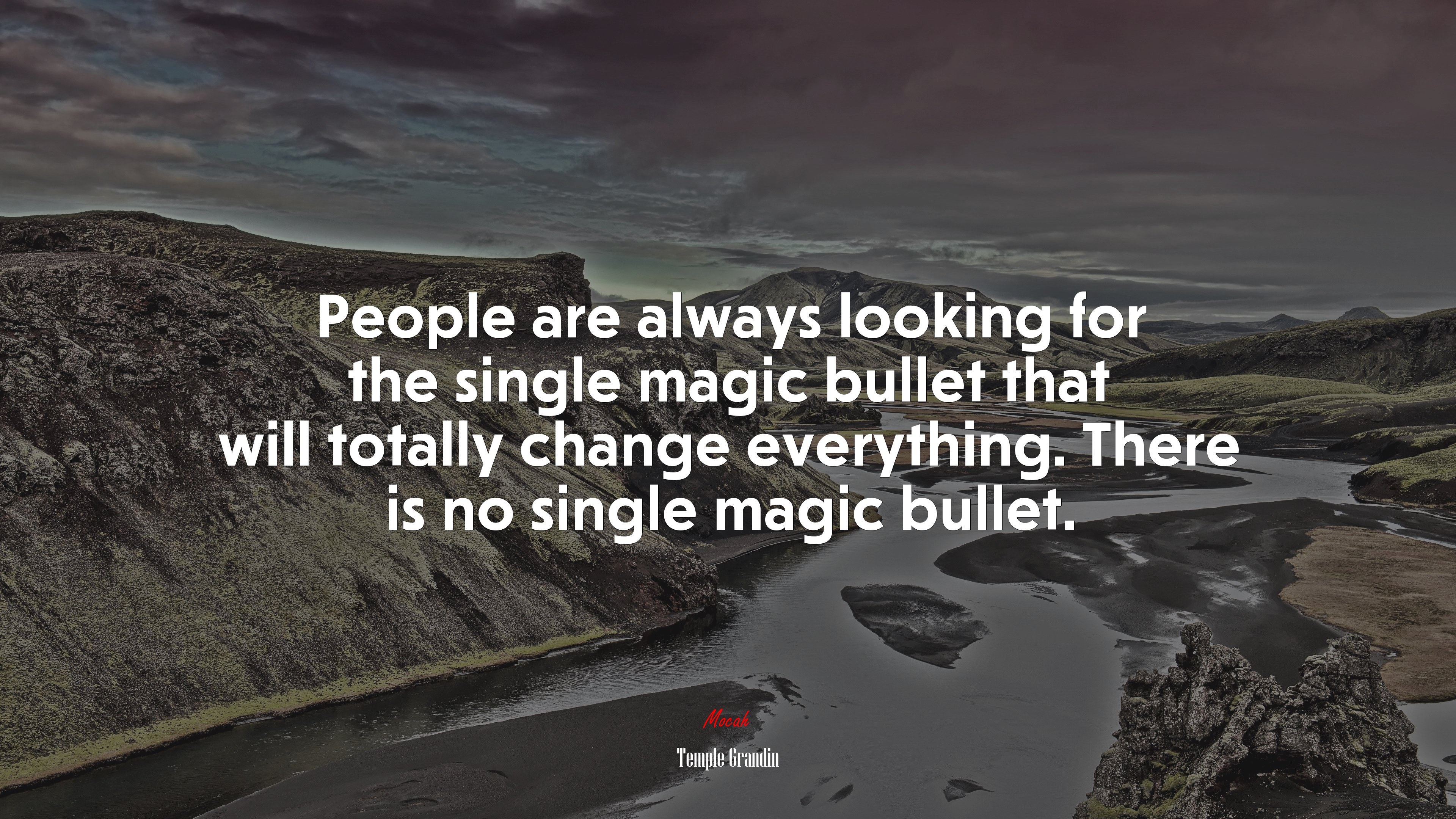 People are always looking for the single magic bullet that will totally change everything. There is no single magic bullet. | Temple Grandin quote HD Wallpaper