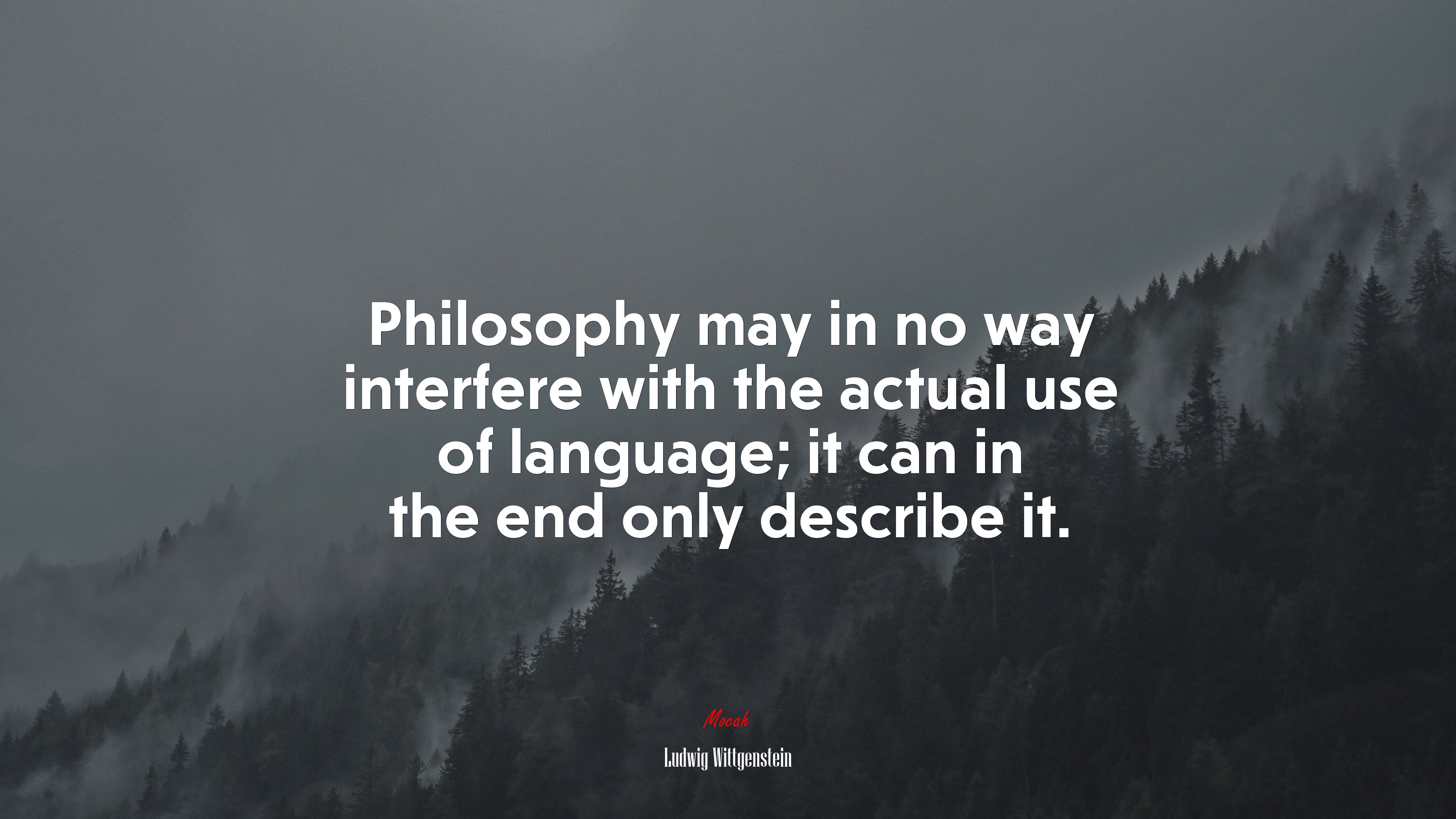 Philosophy may in no way interfere with the actual use of language; it can in the end only describe it. | Ludwig Wittgenstein quote HD Wallpaper