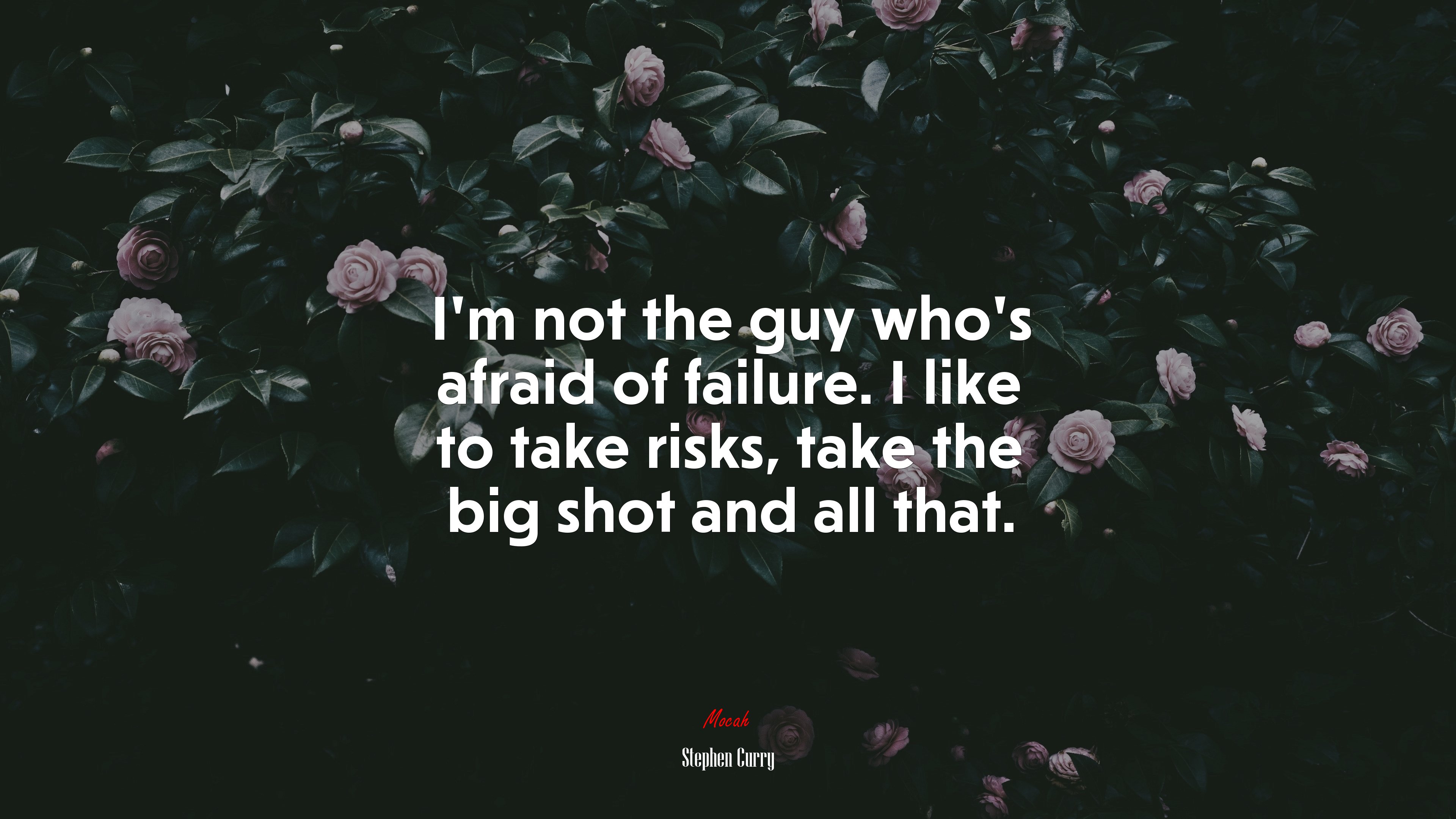 I’m not the guy who’s afraid of failure. I like to take risks, take the big shot and all that. | Stephen Curry quote HD Wallpaper