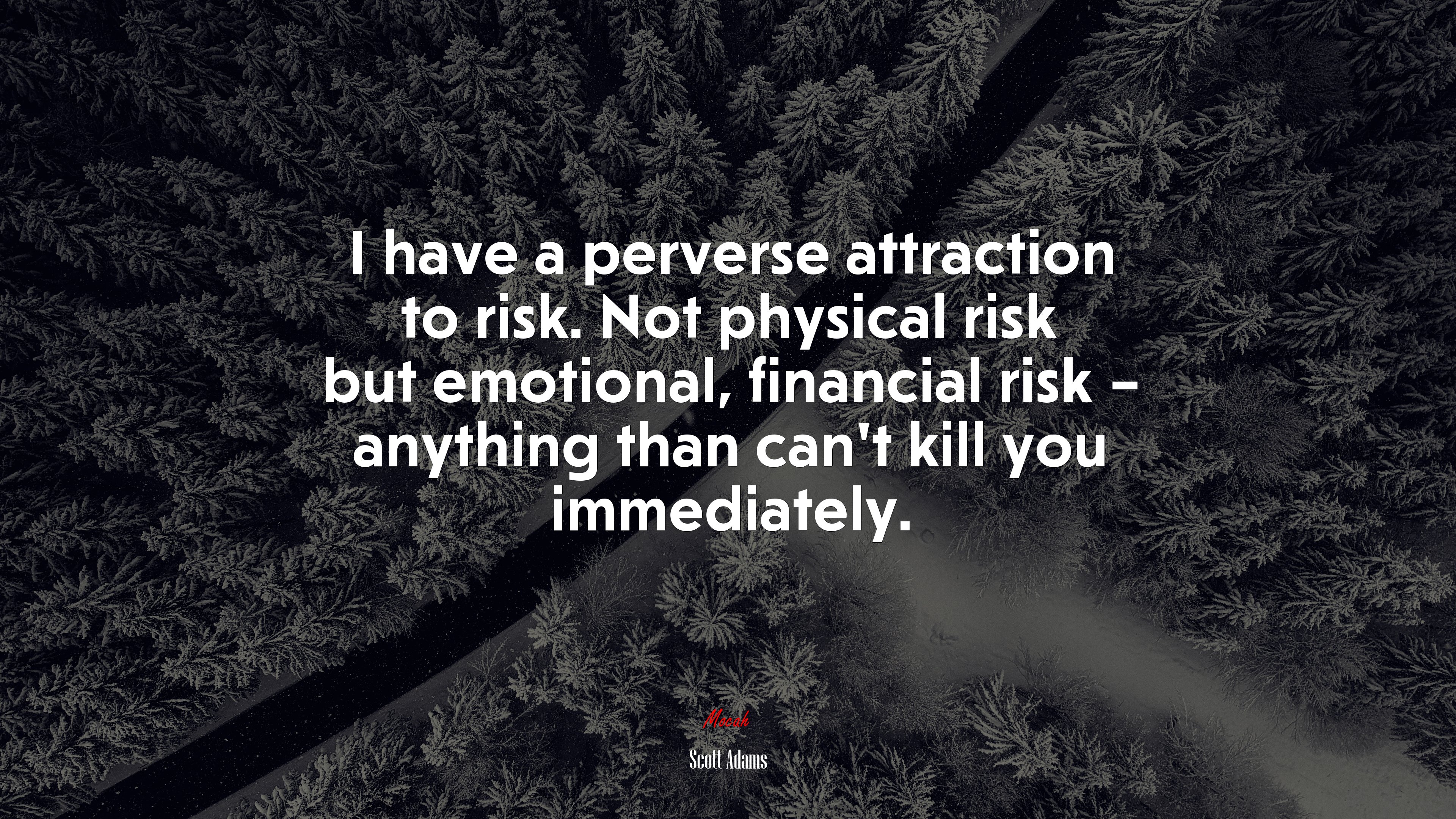 I have a perverse attraction to risk. Not physical risk but emotional, financial risk – anything than can’t kill you immediately. | Scott Adams quote HD Wallpaper