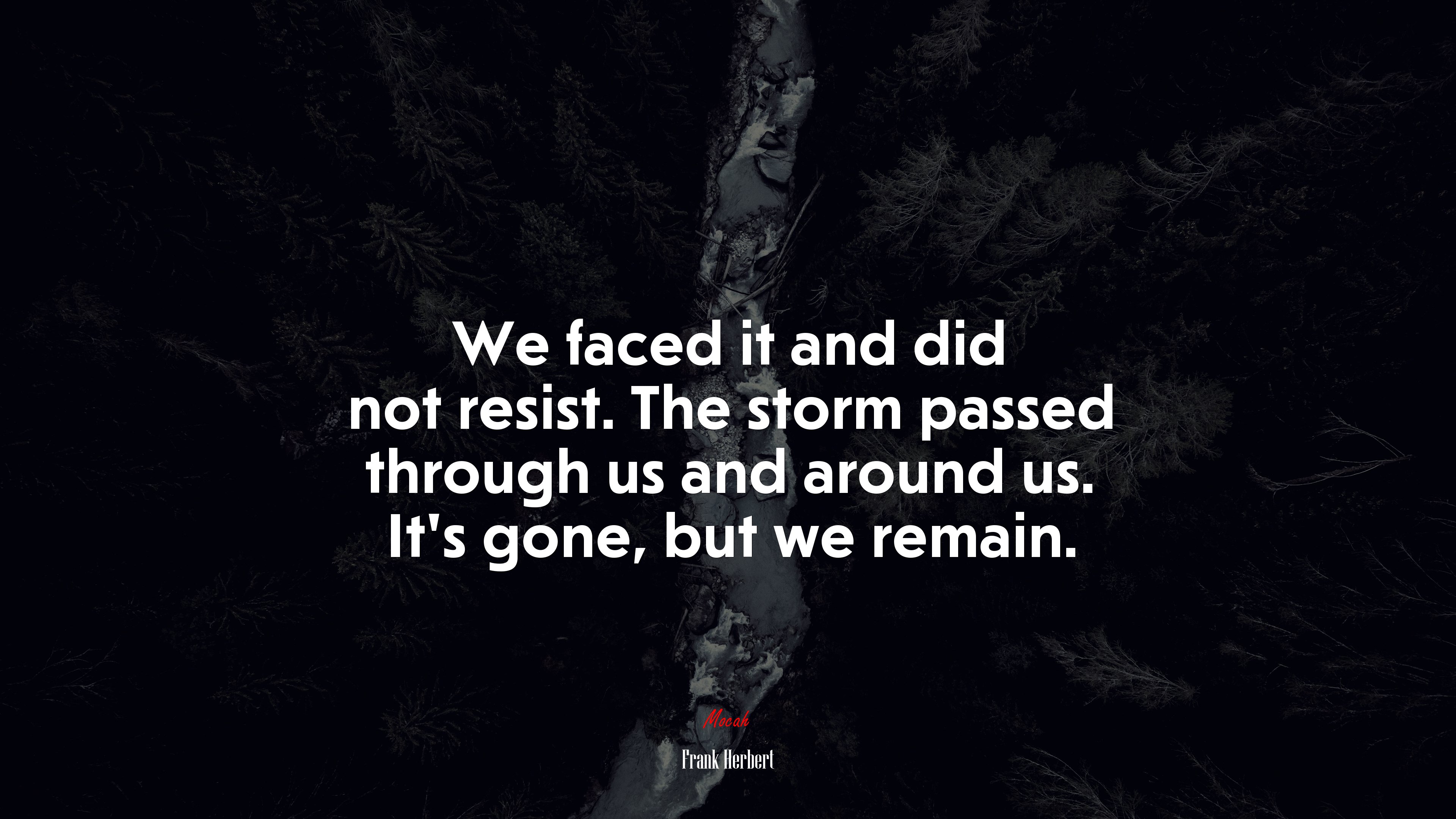 We faced it and did not resist. The storm passed through us and around us. It’s gone, but we remain. | Frank Herbert quote HD Wallpaper