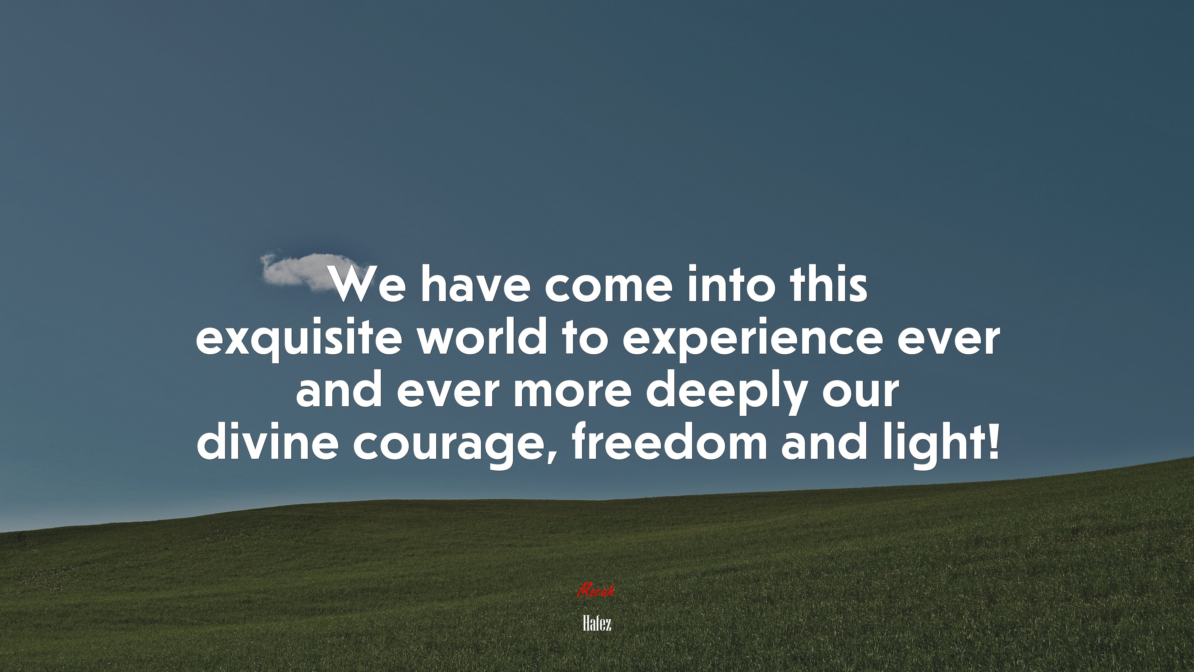 We have come into this exquisite world to experience ever and ever more deeply our divine courage, freedom and light! | Hafez quote HD Wallpaper