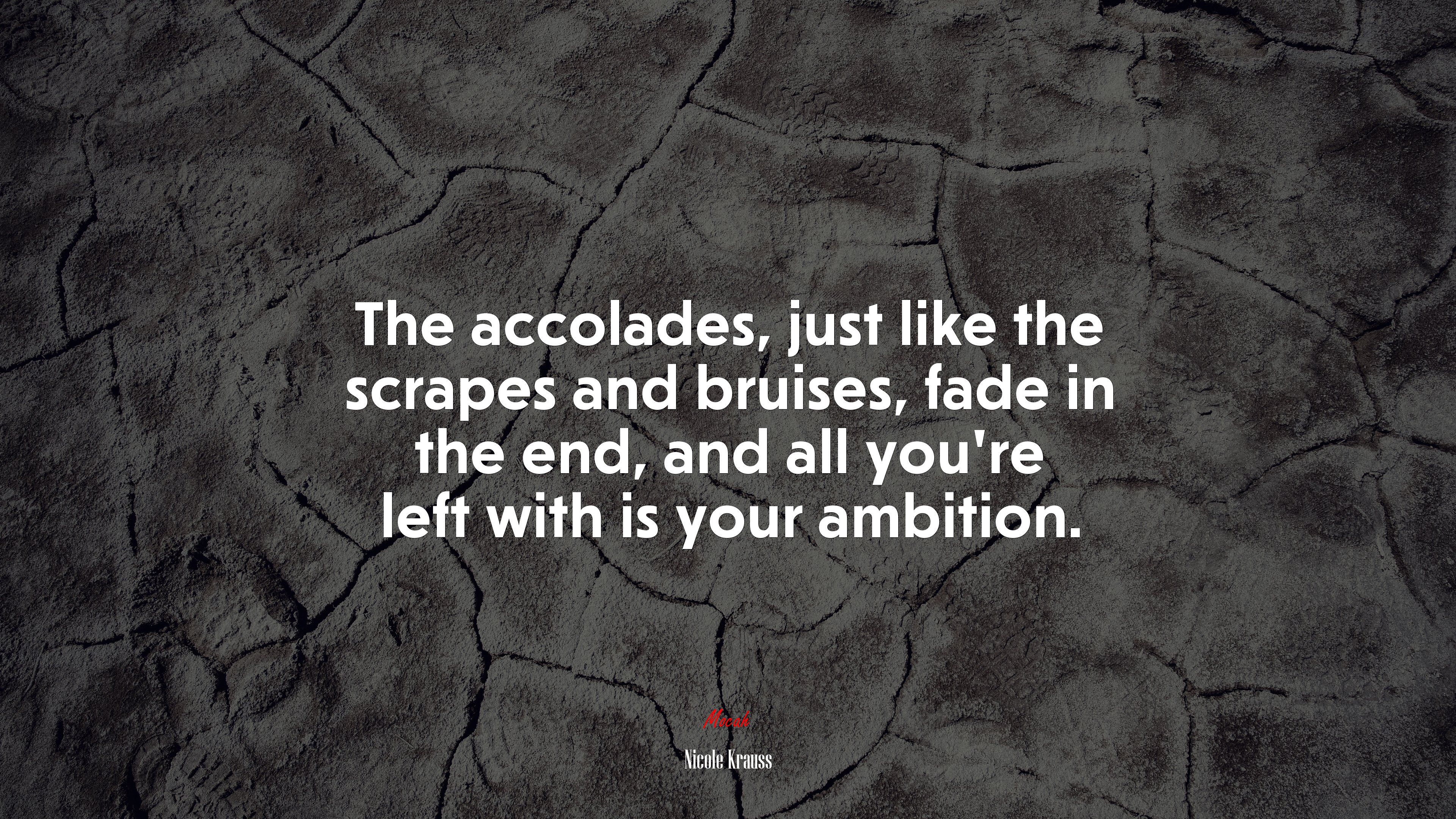 The accolades, just like the scrapes and bruises, fade in the end, and all you’re left with is your ambition. | Nicole Krauss quote HD Wallpaper