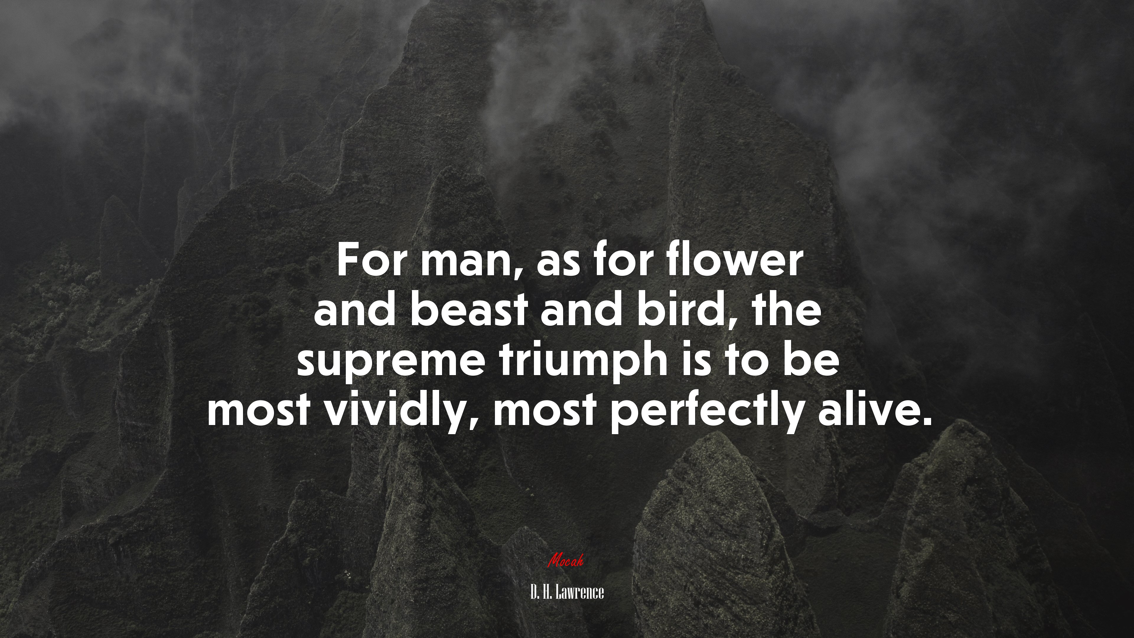 For man, as for flower and beast and bird, the supreme triumph is to be most vividly, most perfectly alive. | D. H. Lawrence quote HD Wallpaper