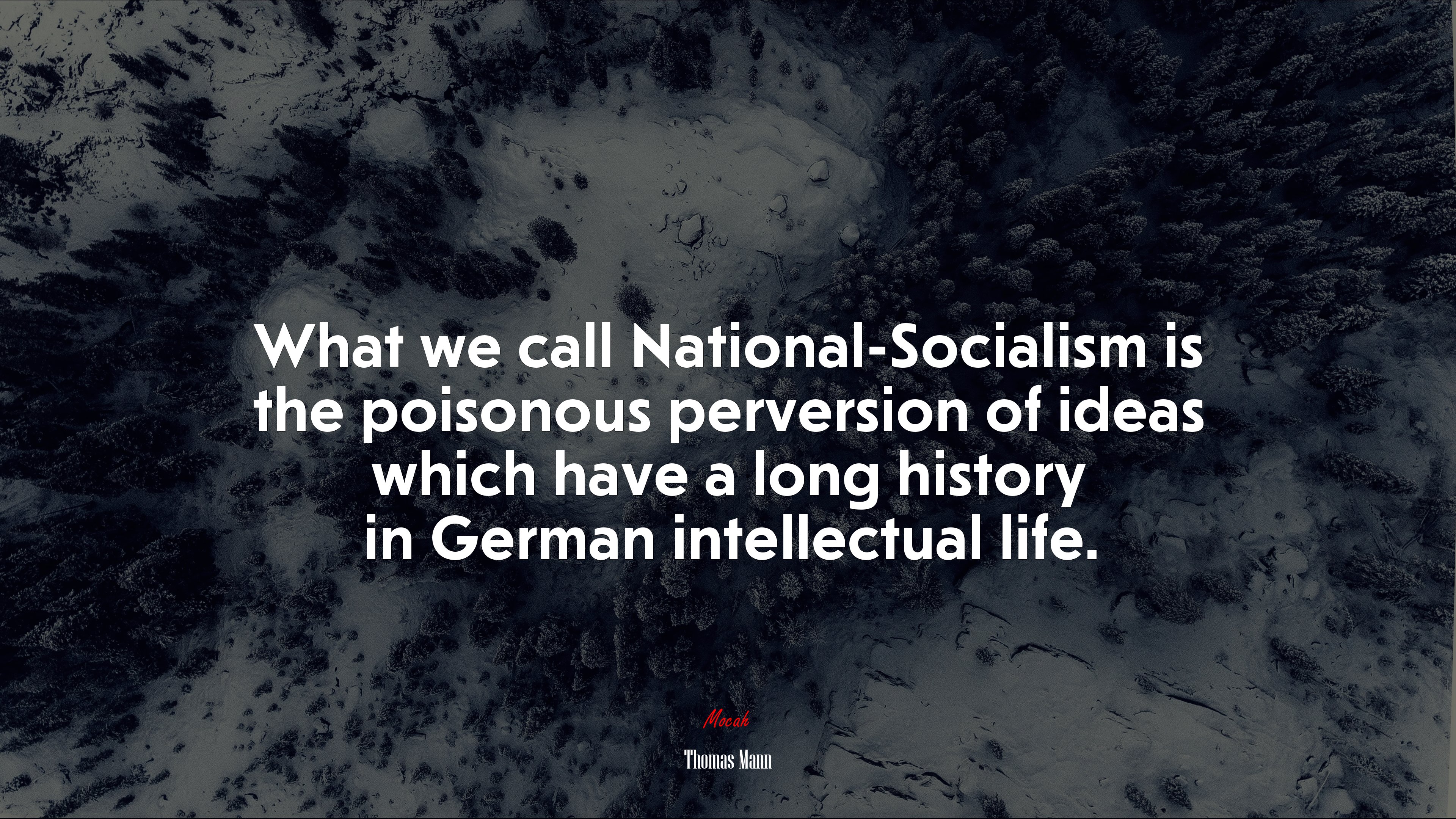 What we call National-Socialism is the poisonous perversion of ideas which have a long history in German intellectual life. | Thomas Mann quote HD Wallpaper