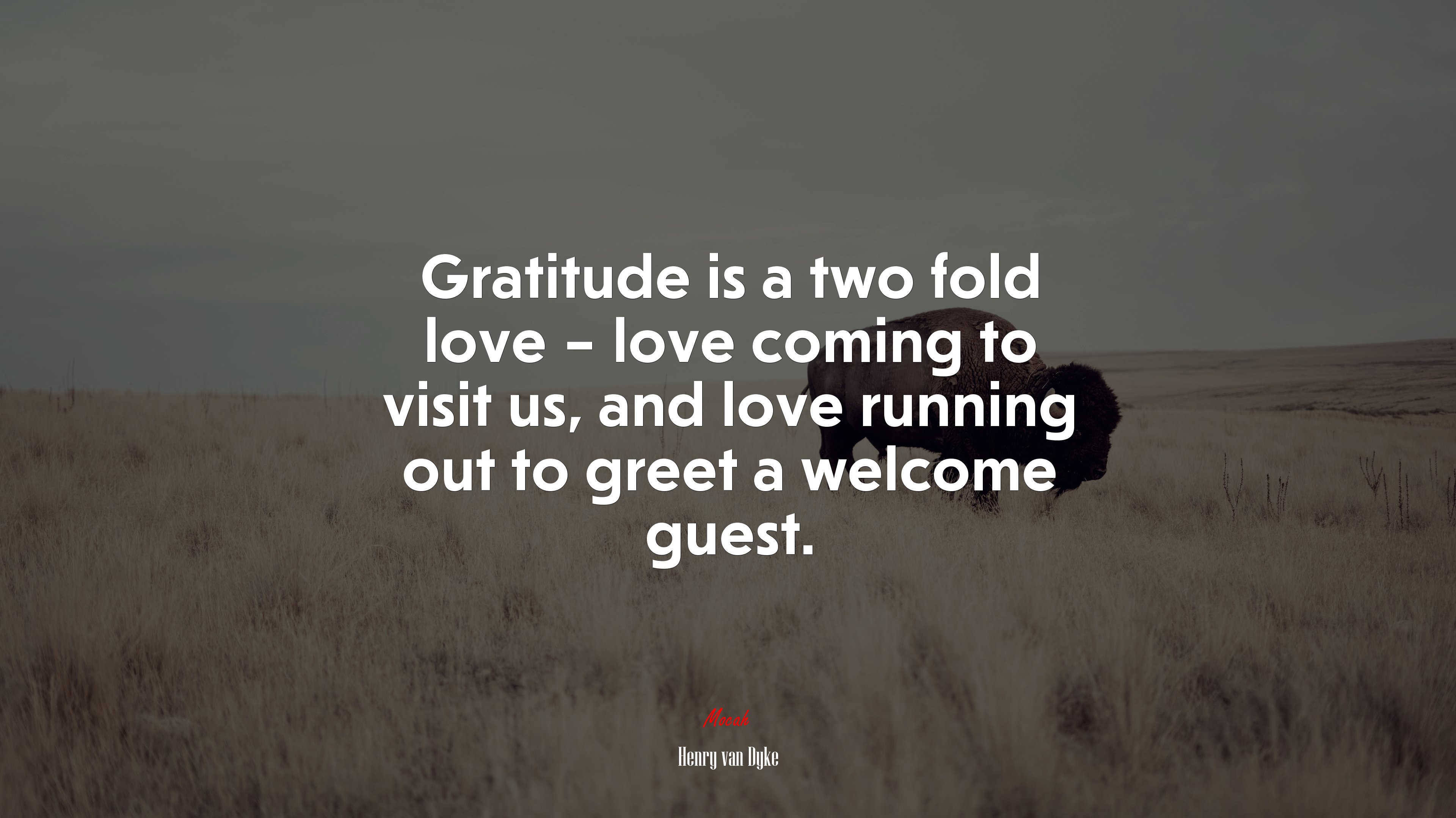 Gratitude is a two fold love – love coming to visit us, and love running out to greet a welcome guest. | Henry van Dyke quote HD Wallpaper
