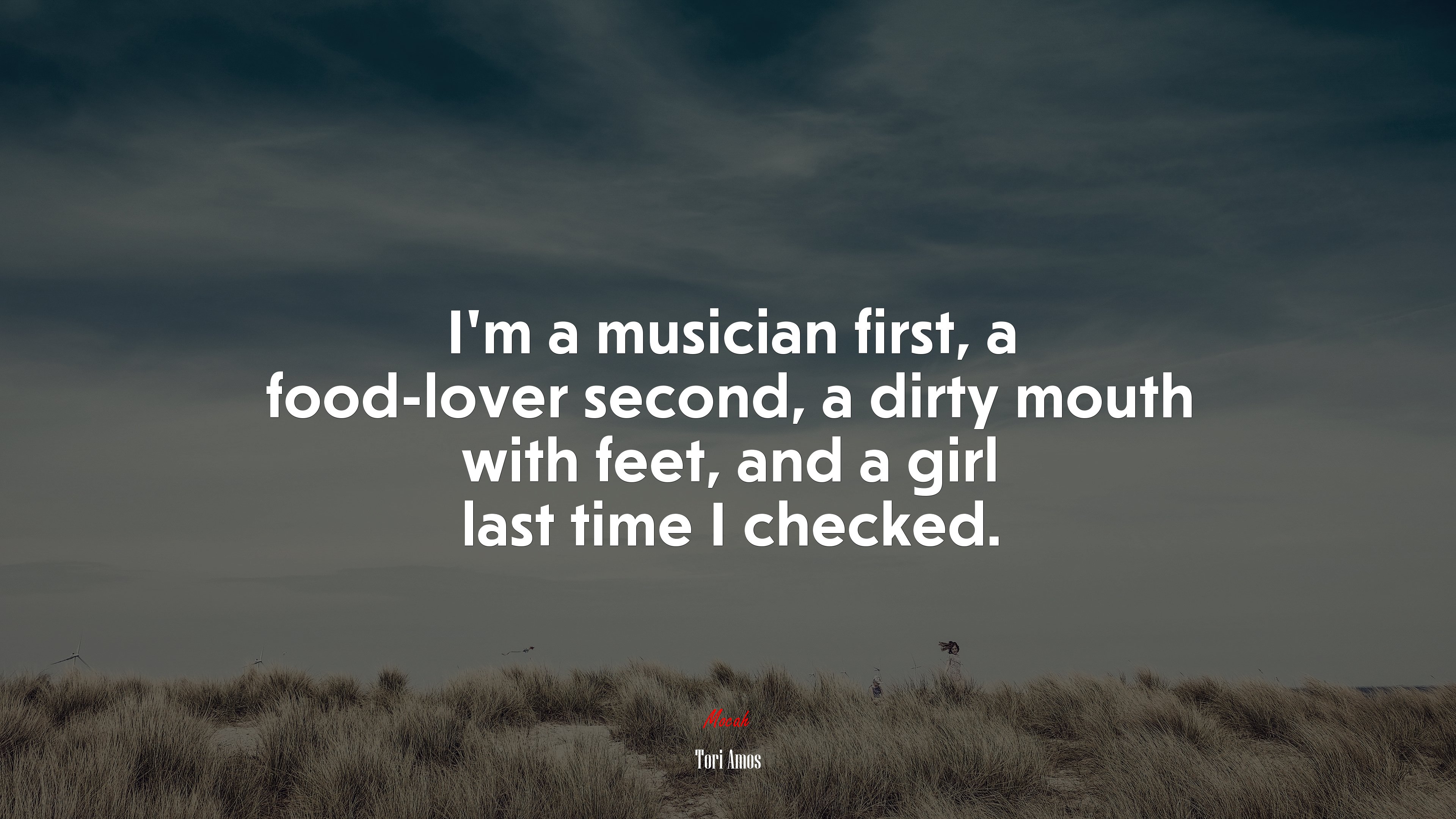 I’m a musician first, a food-lover second, a dirty mouth with feet, and a girl last time I checked. | Tori Amos quote HD Wallpaper