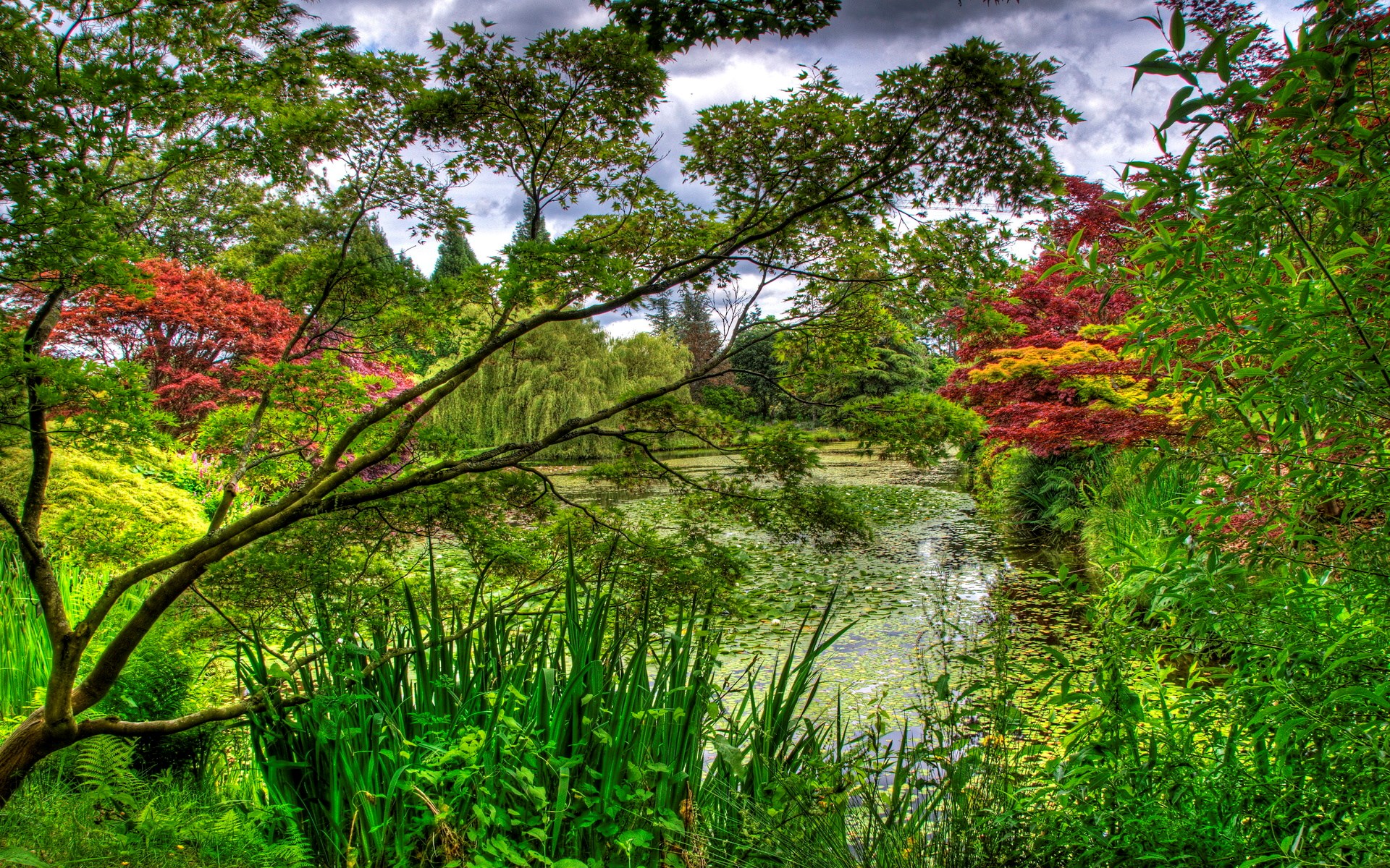A tranquil pond surrounded by lush greenery and trees HD Wallpaper
