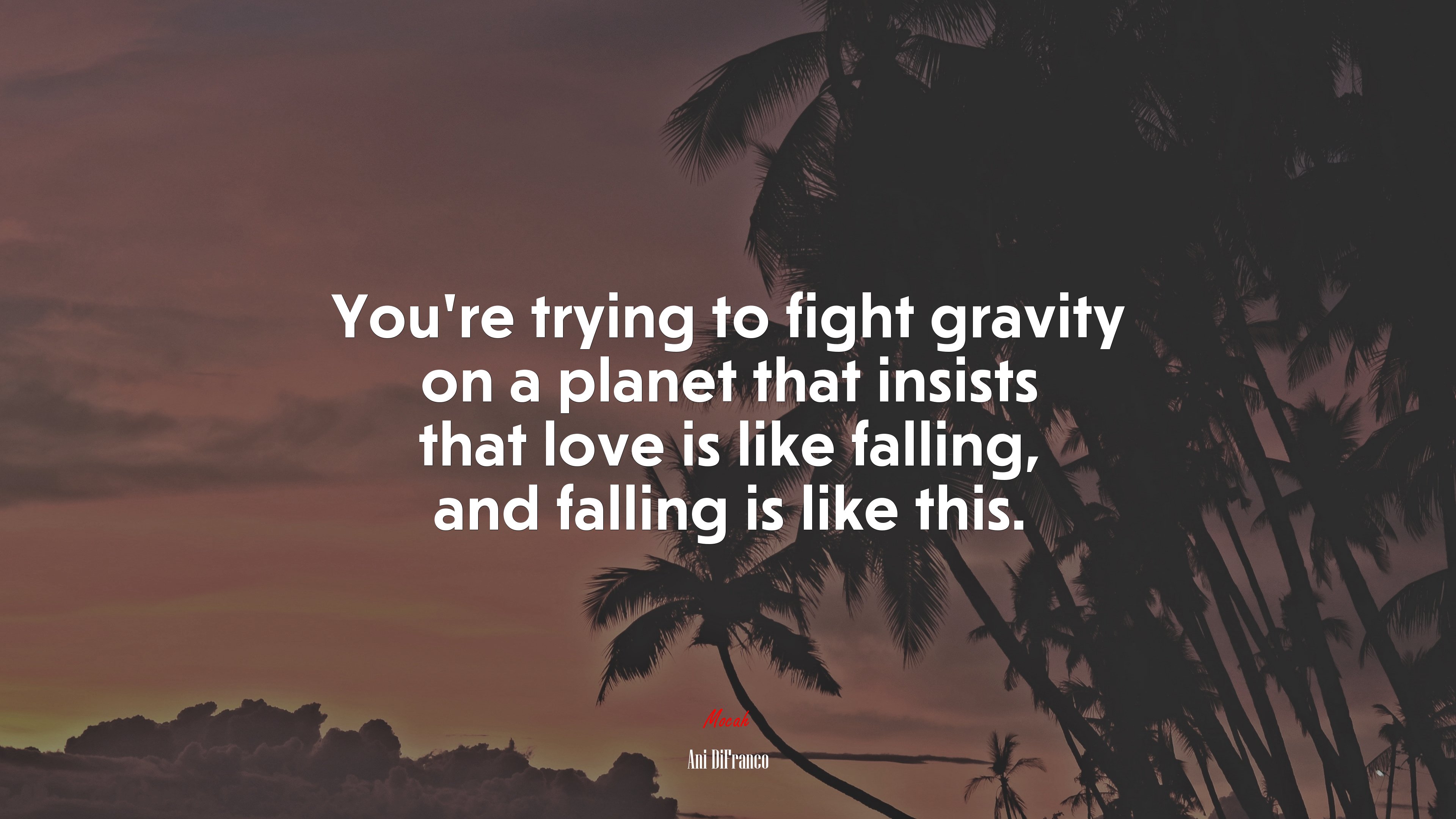 You’re trying to fight gravity on a planet that insists that love is like falling, and falling is like this. | Ani DiFranco quote HD Wallpaper