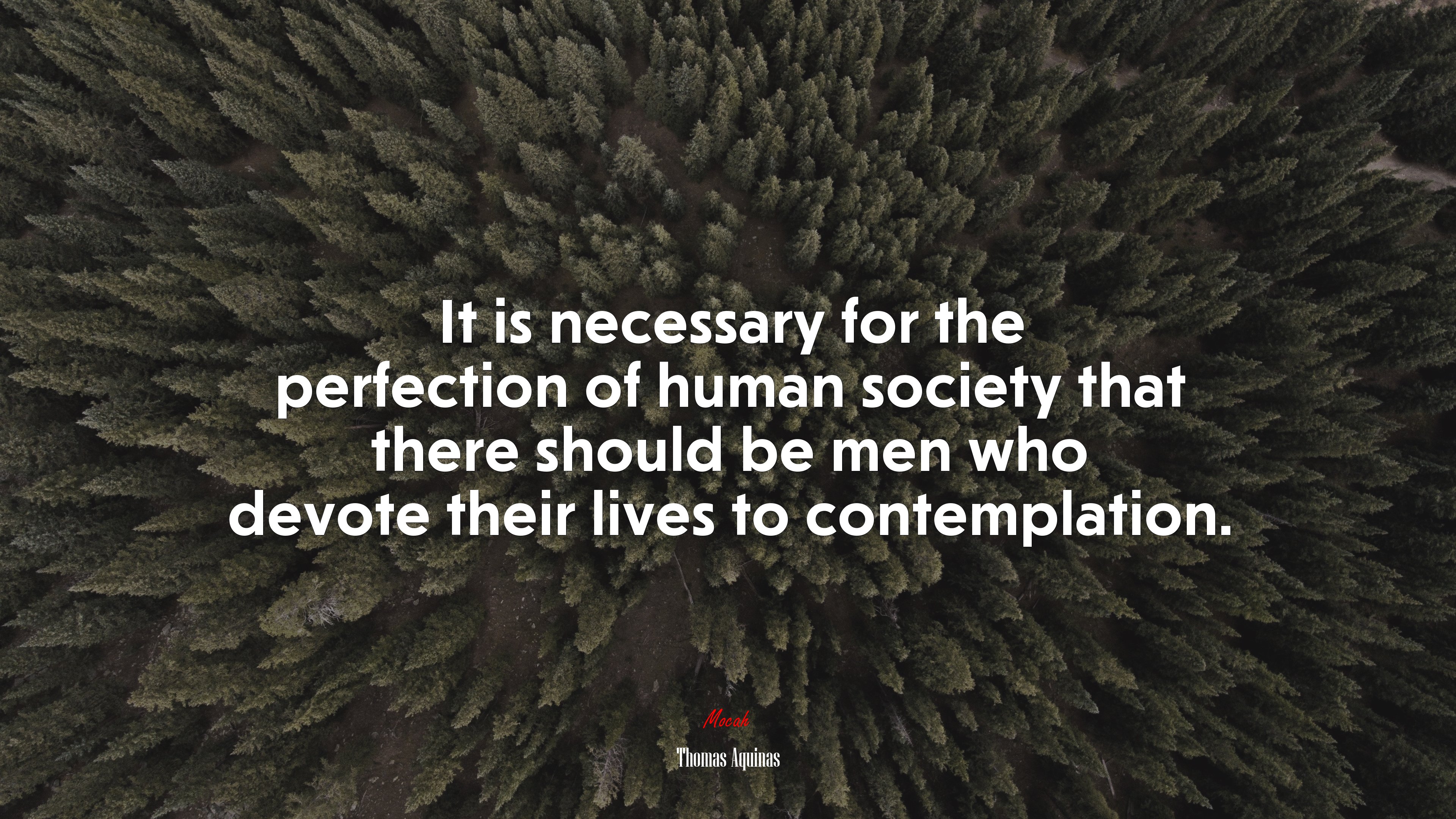 It is necessary for the perfection of human society that there should be men who devote their lives to contemplation. | Thomas Aquinas quote HD Wallpaper