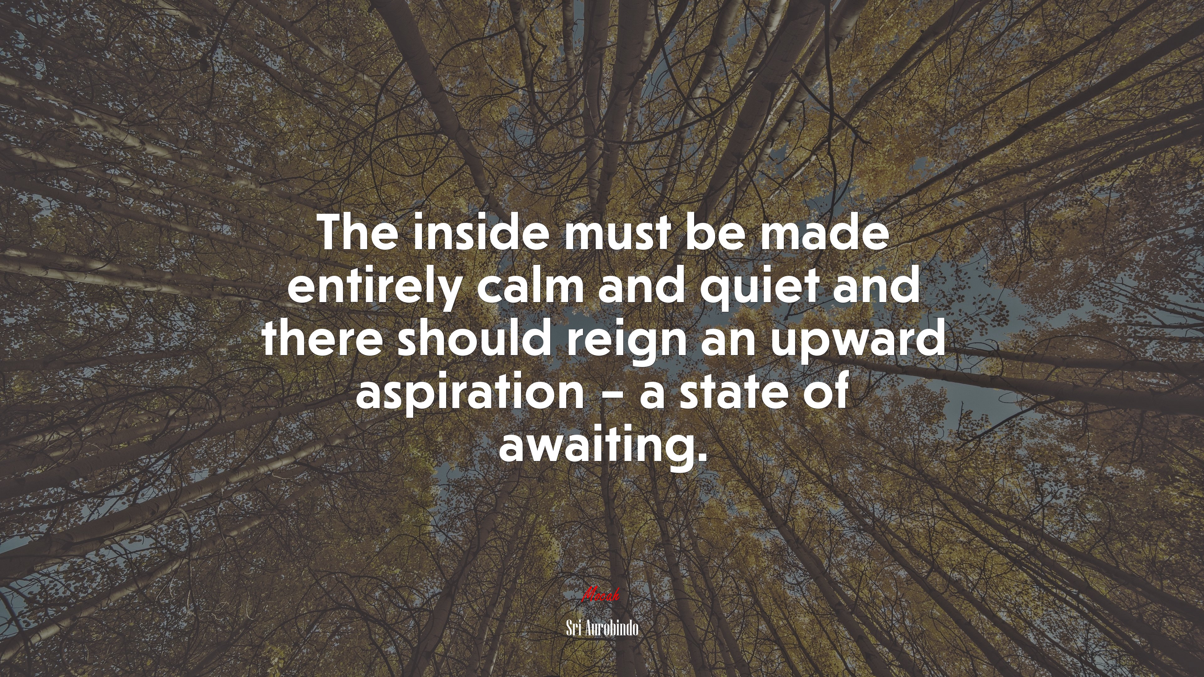 The inside must be made entirely calm and quiet and there should reign an upward aspiration – a state of awaiting. | Sri Aurobindo quote HD Wallpaper