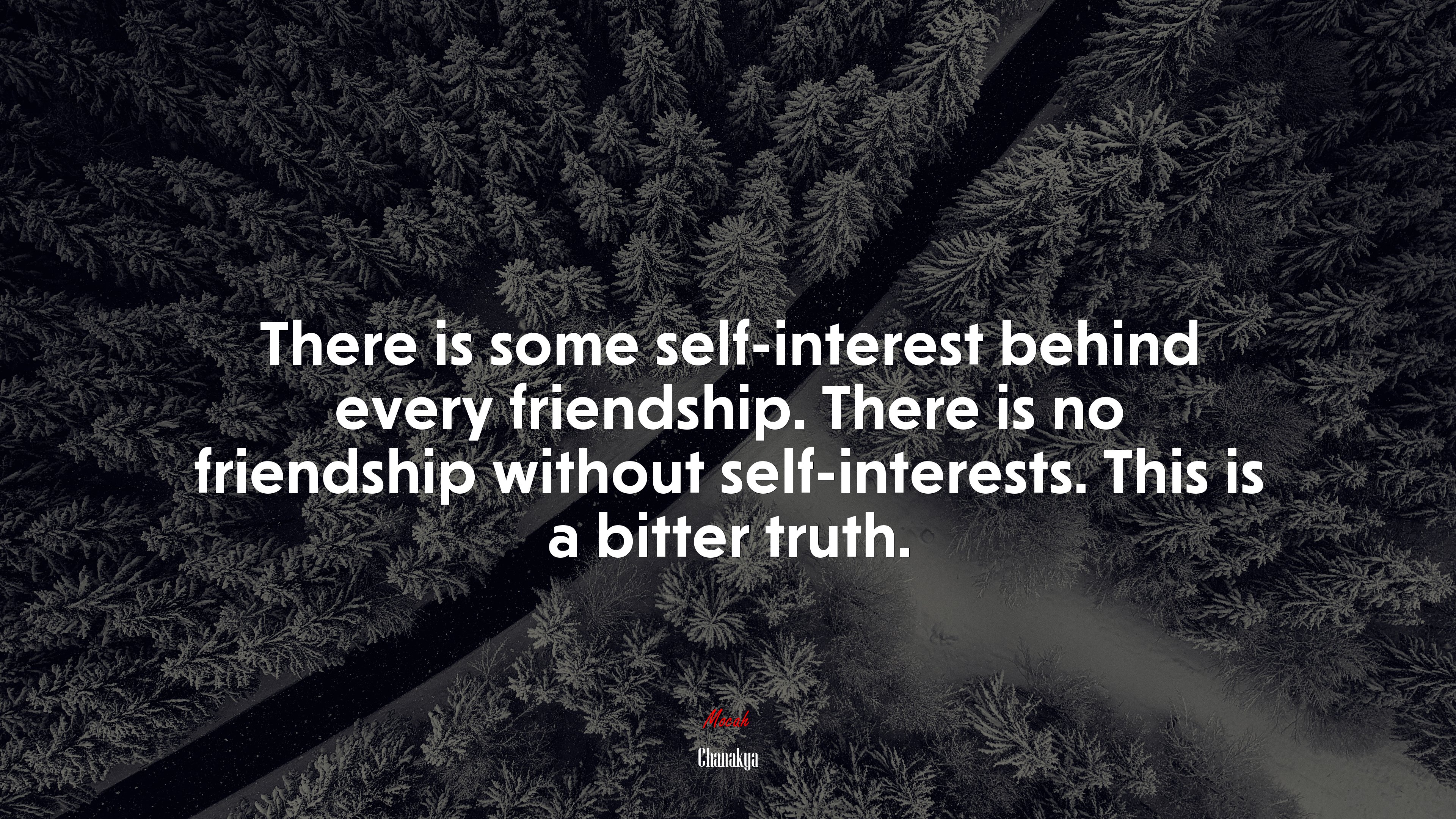 There is some self-interest behind every friendship. There is no friendship without self-interests. This is a bitter truth. | Chanakya quote HD Wallpaper