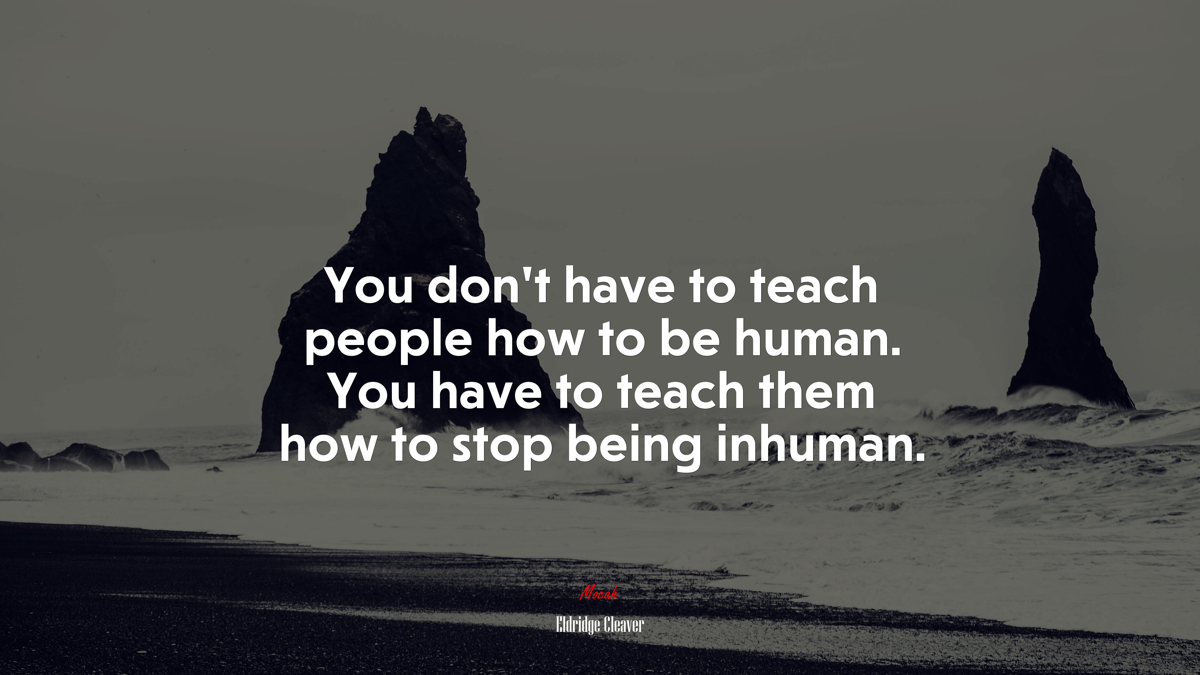 You don’t have to teach people how to be human. You have to teach them how to stop being inhuman. | Eldridge Cleaver quote HD Wallpaper