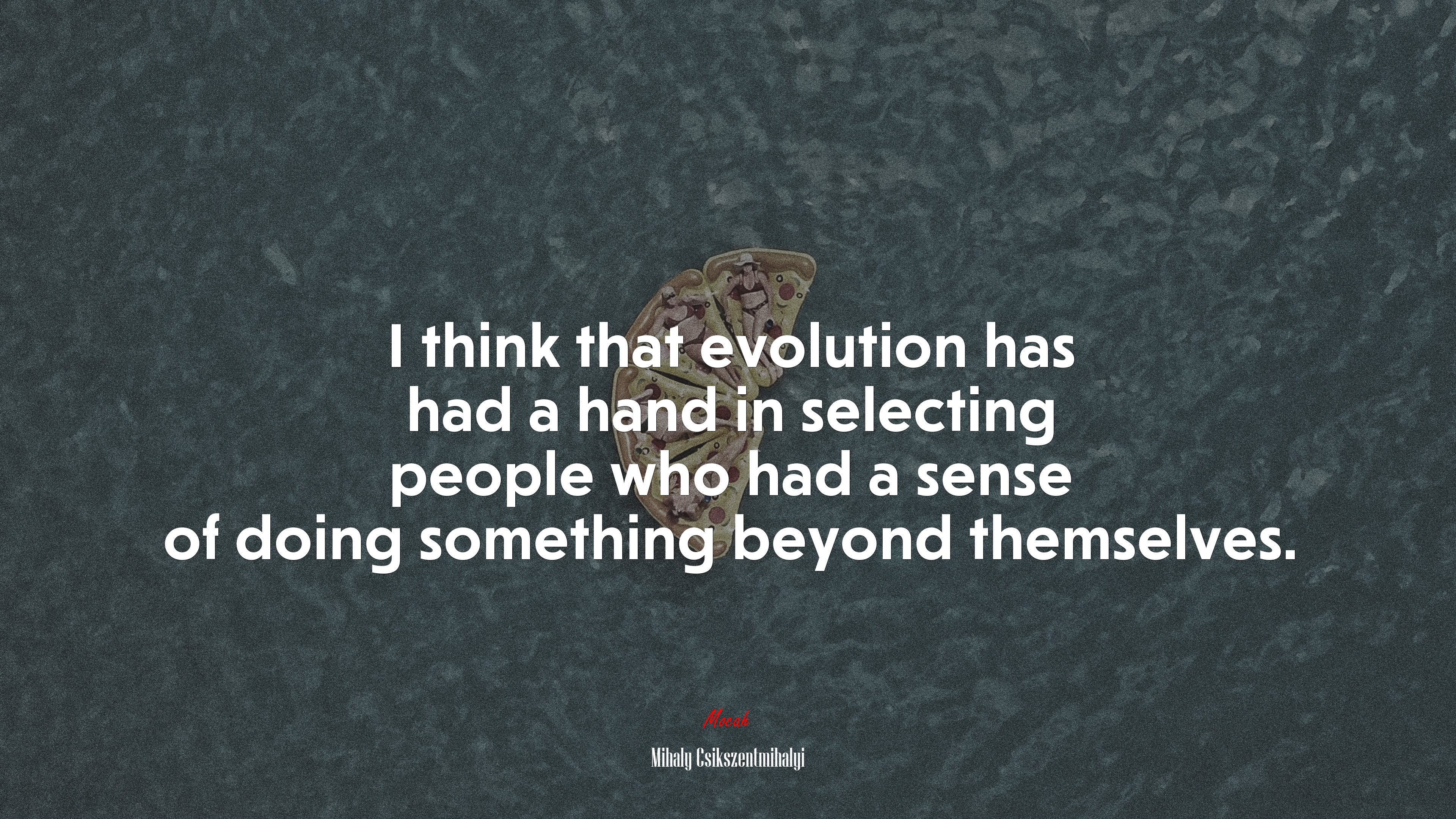 I think that evolution has had a hand in selecting people who had a sense of doing something beyond themselves. | Mihaly Csikszentmihalyi quote HD Wallpaper