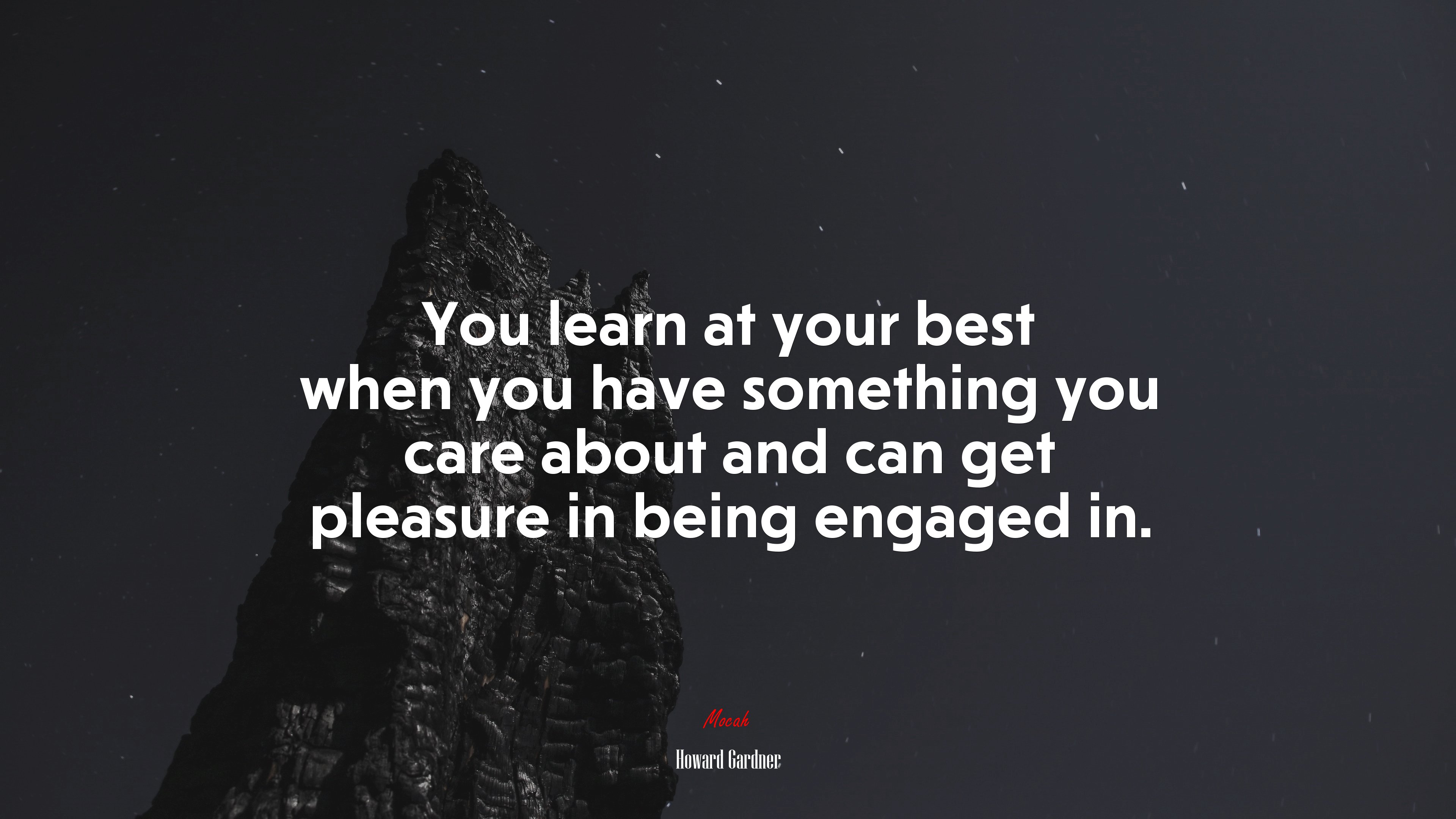 You learn at your best when you have something you care about and can get pleasure in being engaged in. | Howard Gardner quote HD Wallpaper
