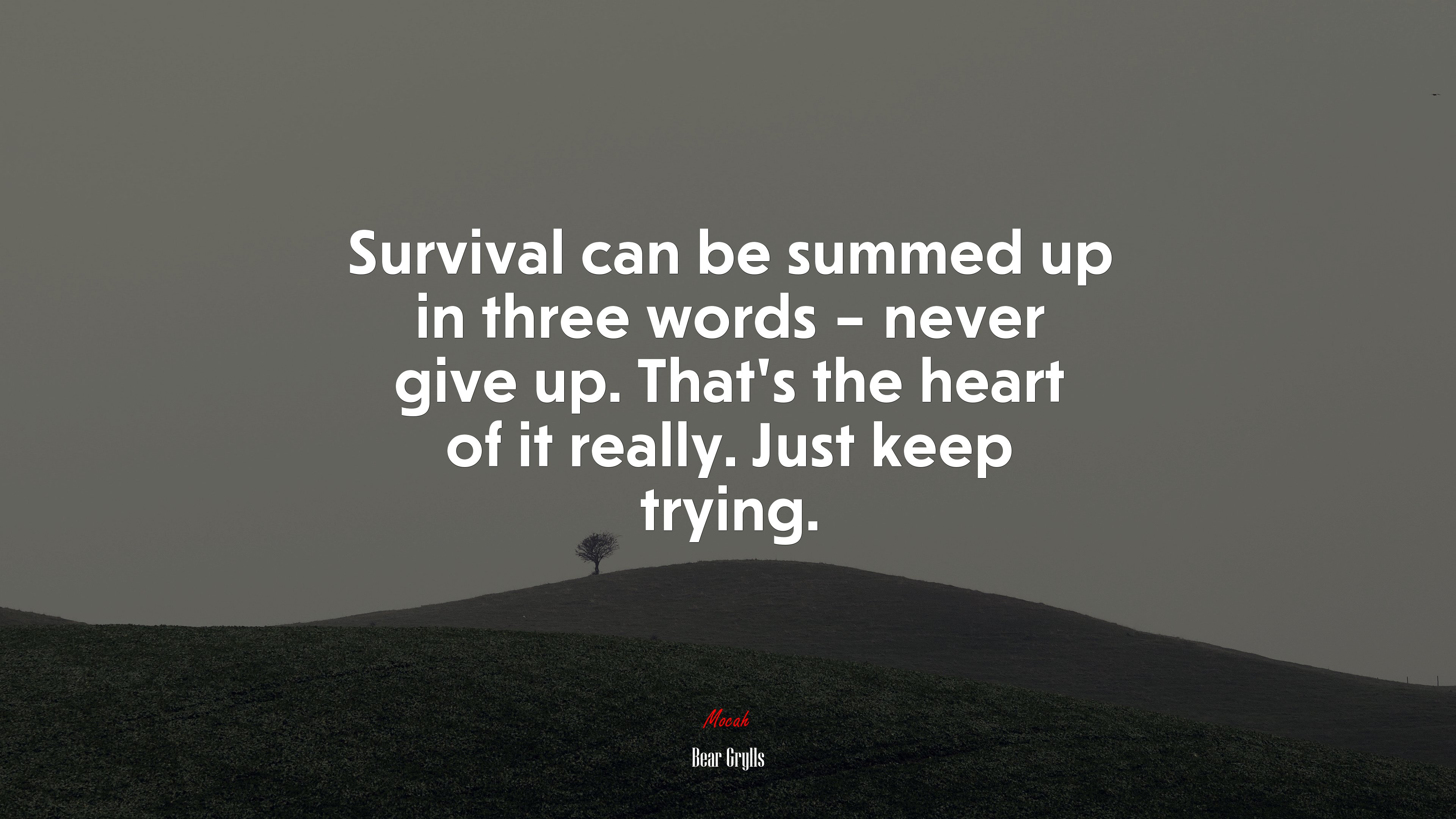 Survival can be summed up in three words – never give up. That’s the heart of it really. Just keep trying. | Bear Grylls quote HD Wallpaper