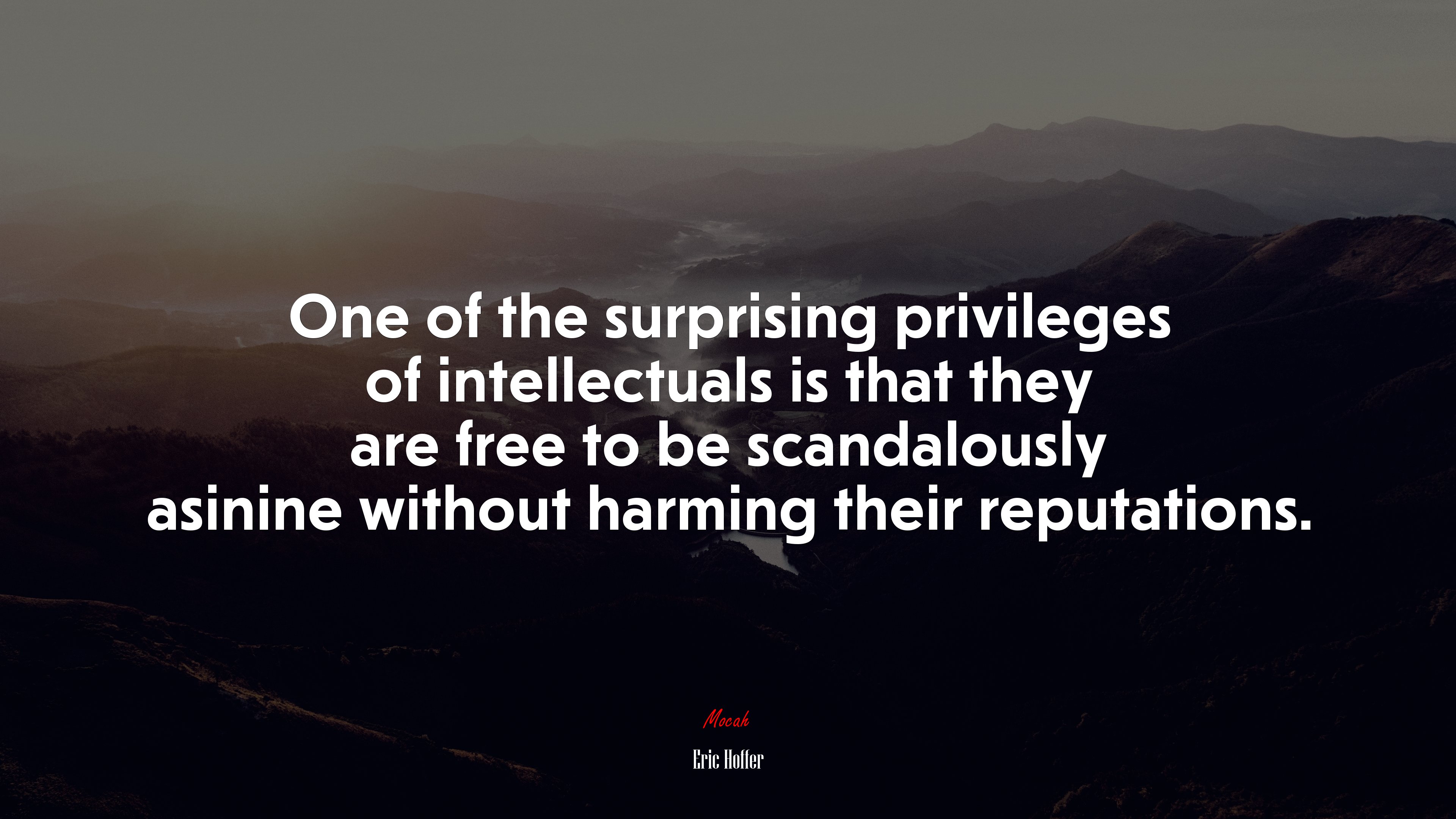 One of the surprising privileges of intellectuals is that they are free to be scandalously asinine without harming their reputations. | Eric Hoffer quote HD Wallpaper