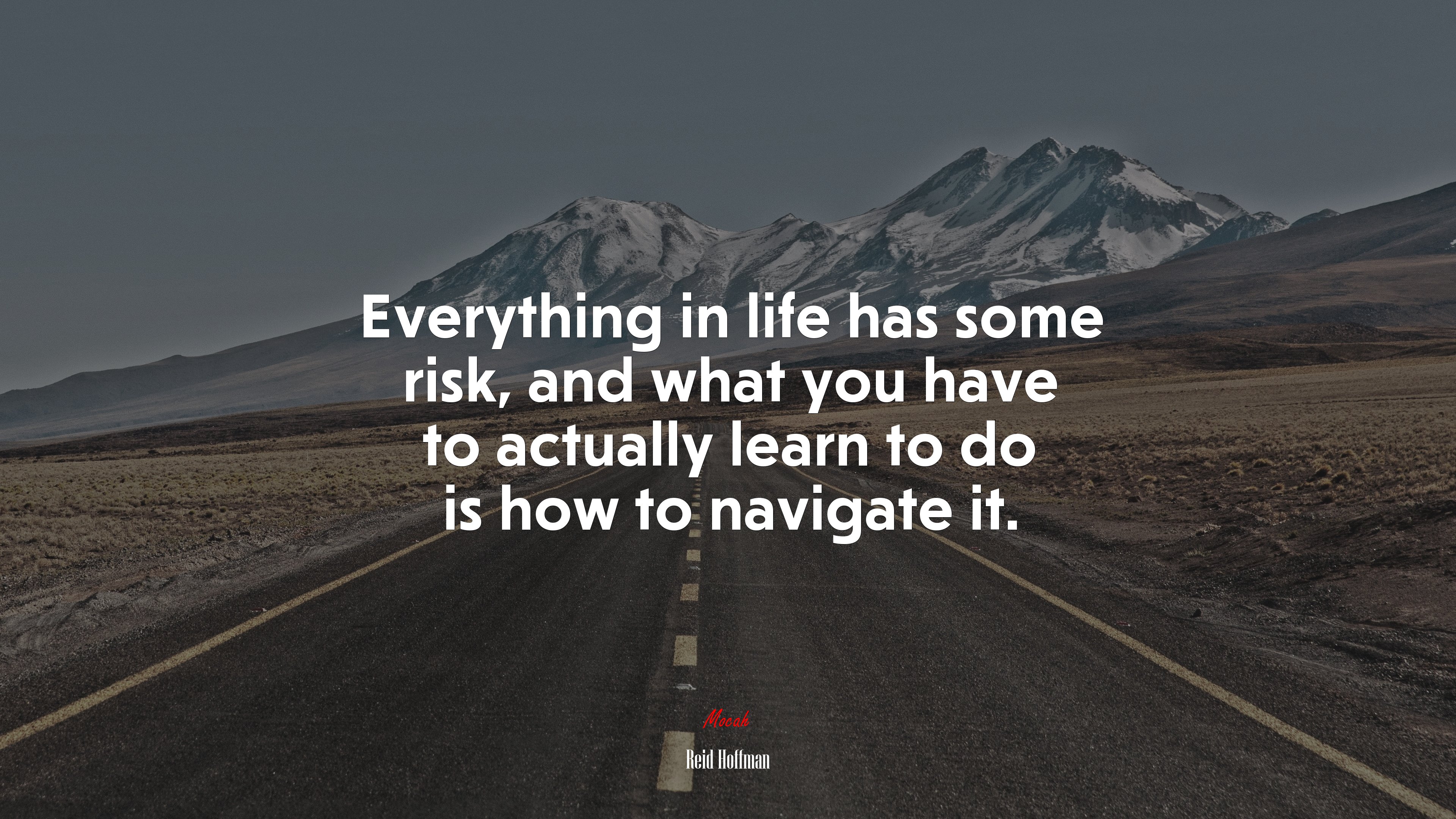 Everything in life has some risk, and what you have to actually learn to do is how to navigate it. | Reid Hoffman quote HD Wallpaper