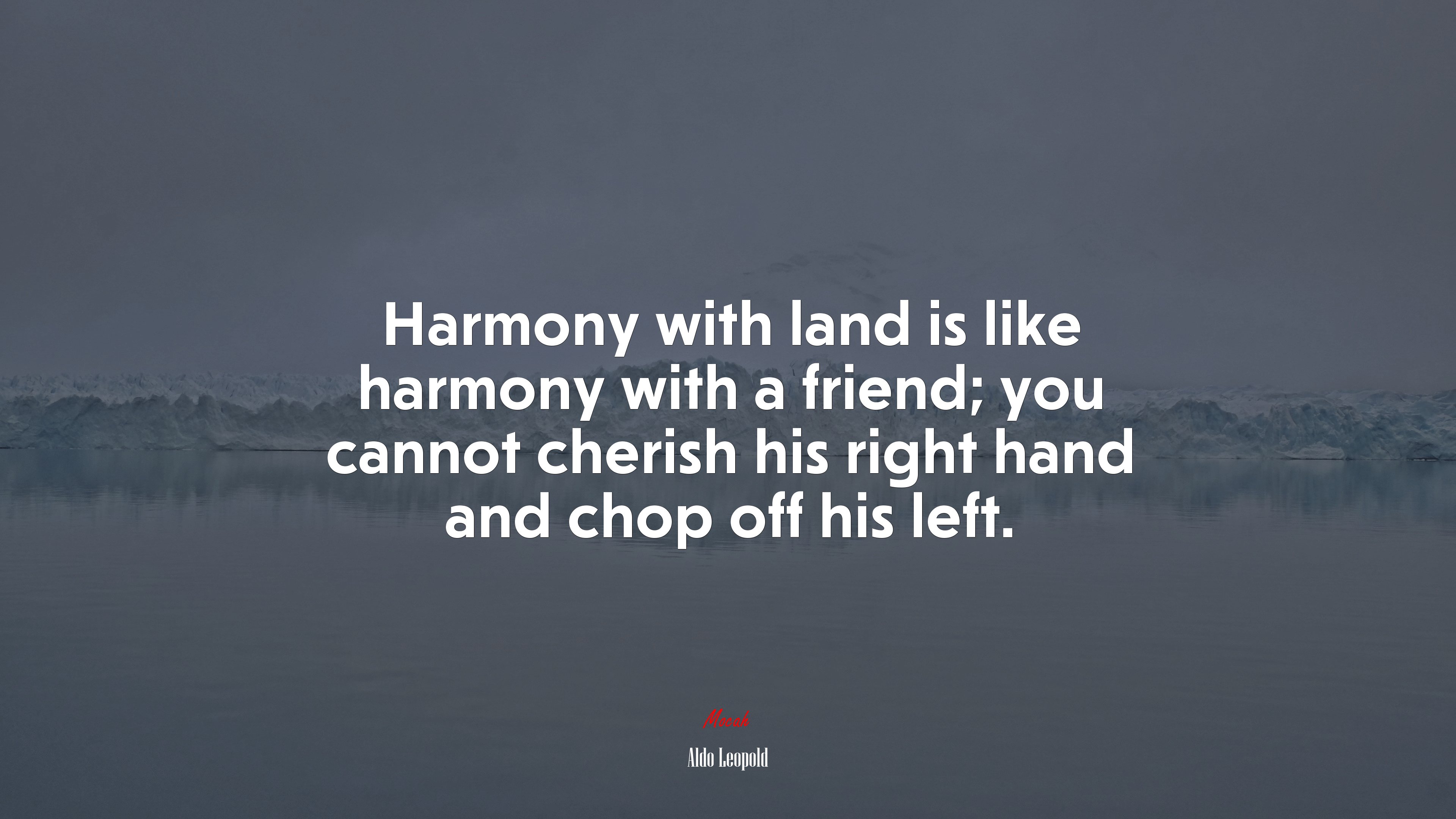Harmony with land is like harmony with a friend; you cannot cherish his right hand and chop off his left. | Aldo Leopold quote HD Wallpaper