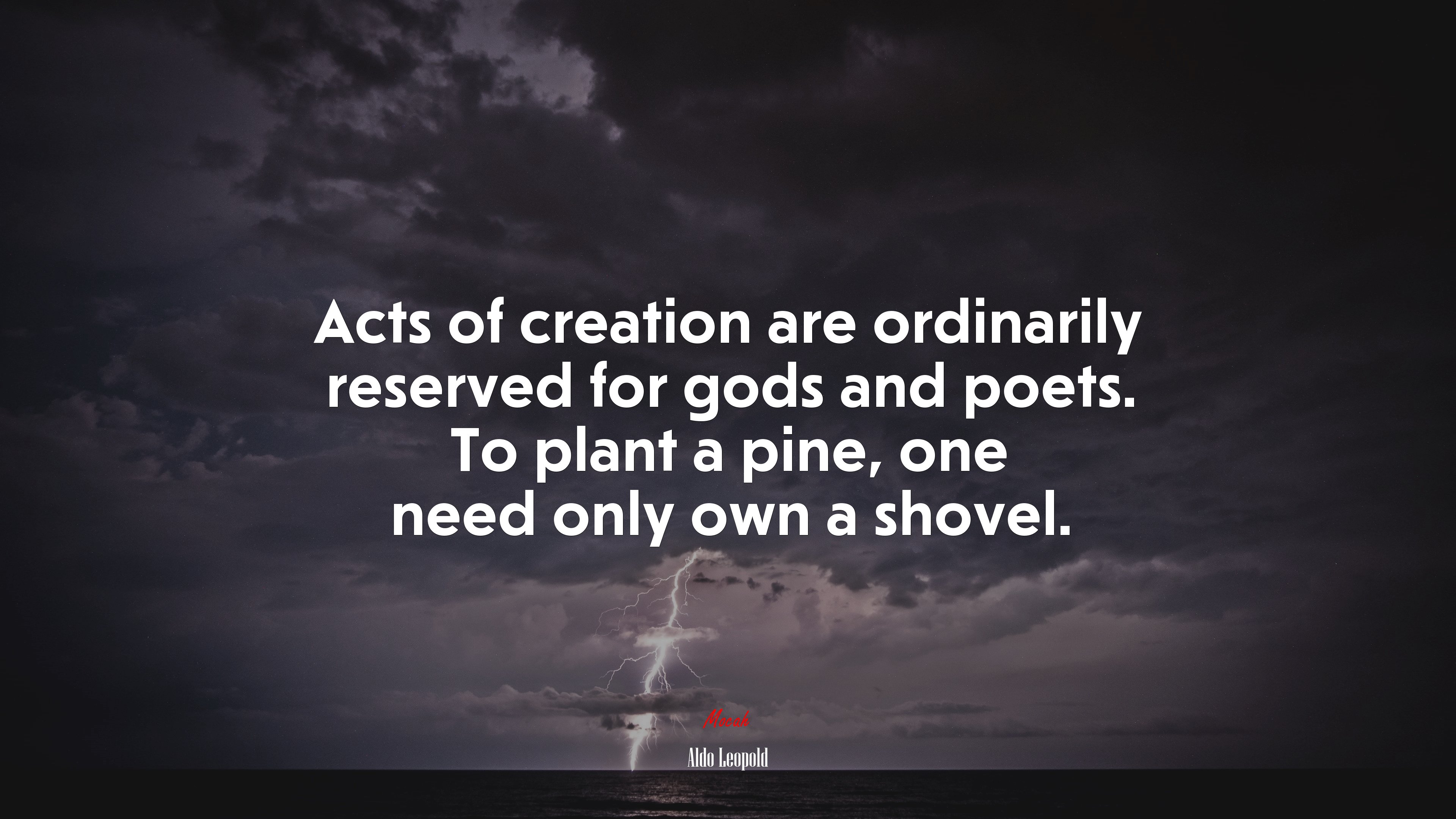 Acts of creation are ordinarily reserved for gods and poets. To plant a pine, one need only own a shovel. | Aldo Leopold quote HD Wallpaper