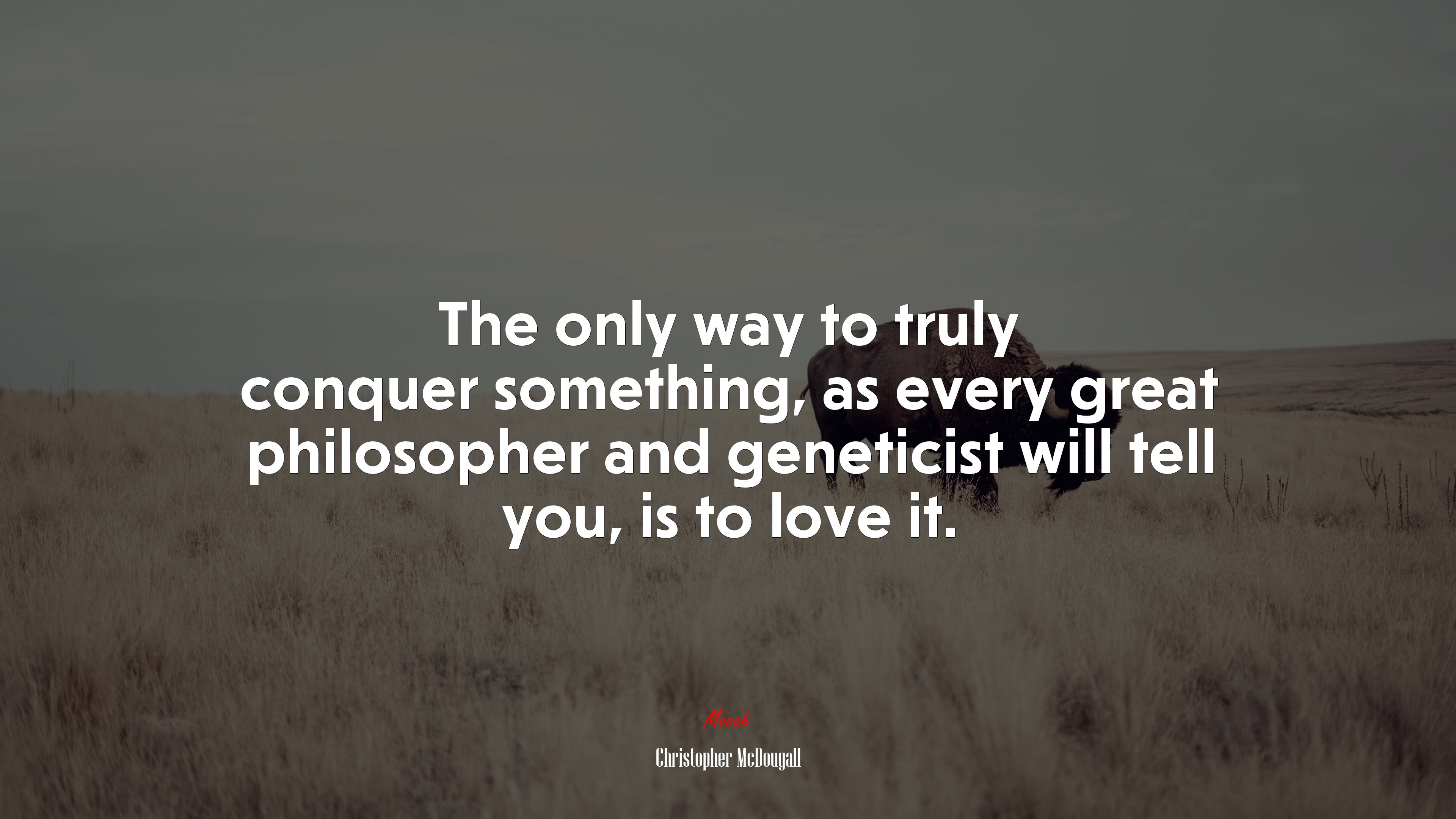 The only way to truly conquer something, as every great philosopher and geneticist will tell you, is to love it. | Christopher McDougall quote HD Wallpaper