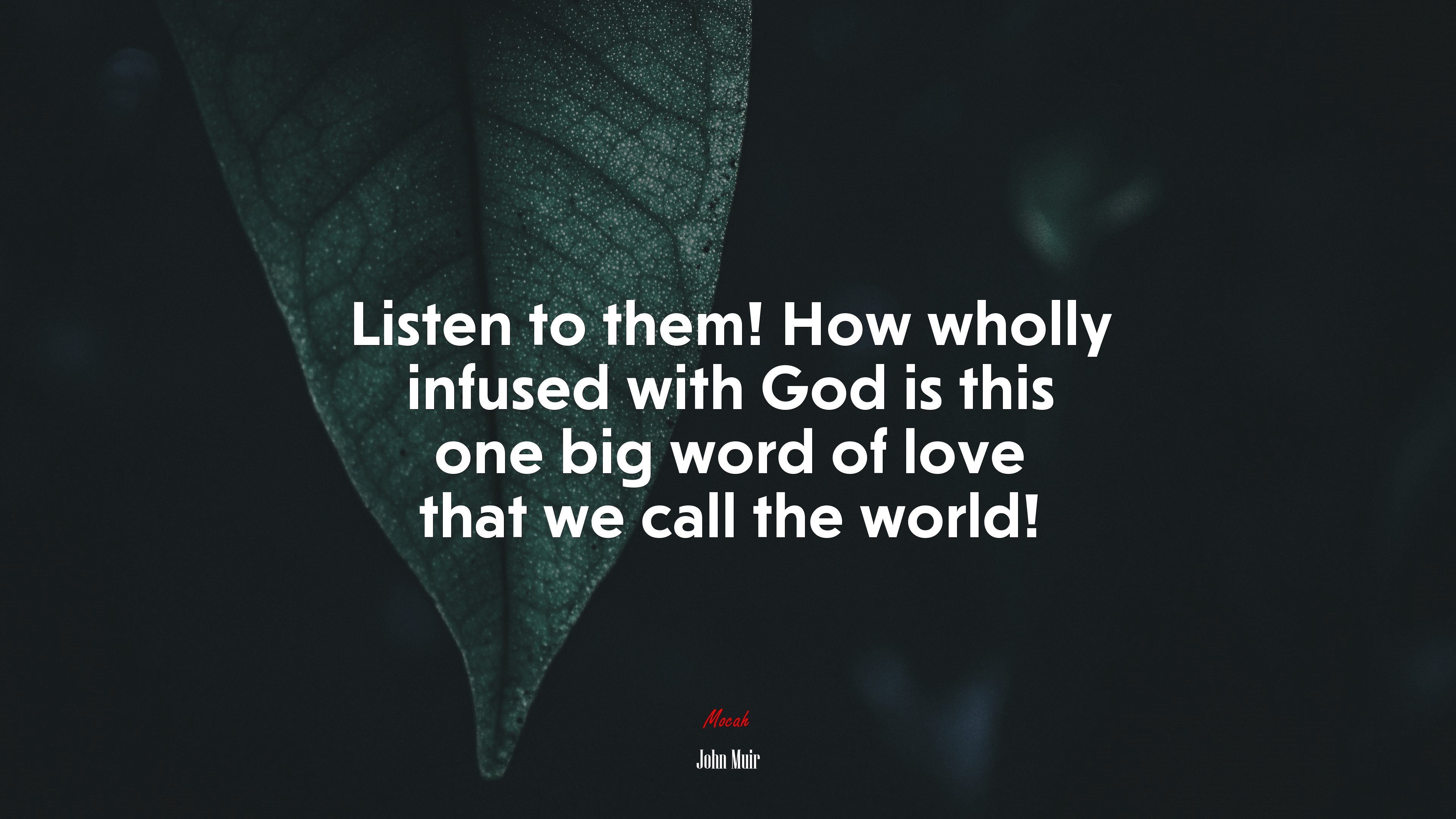 Listen to them! How wholly infused with God is this one big word of love that we call the world! | John Muir quote HD Wallpaper