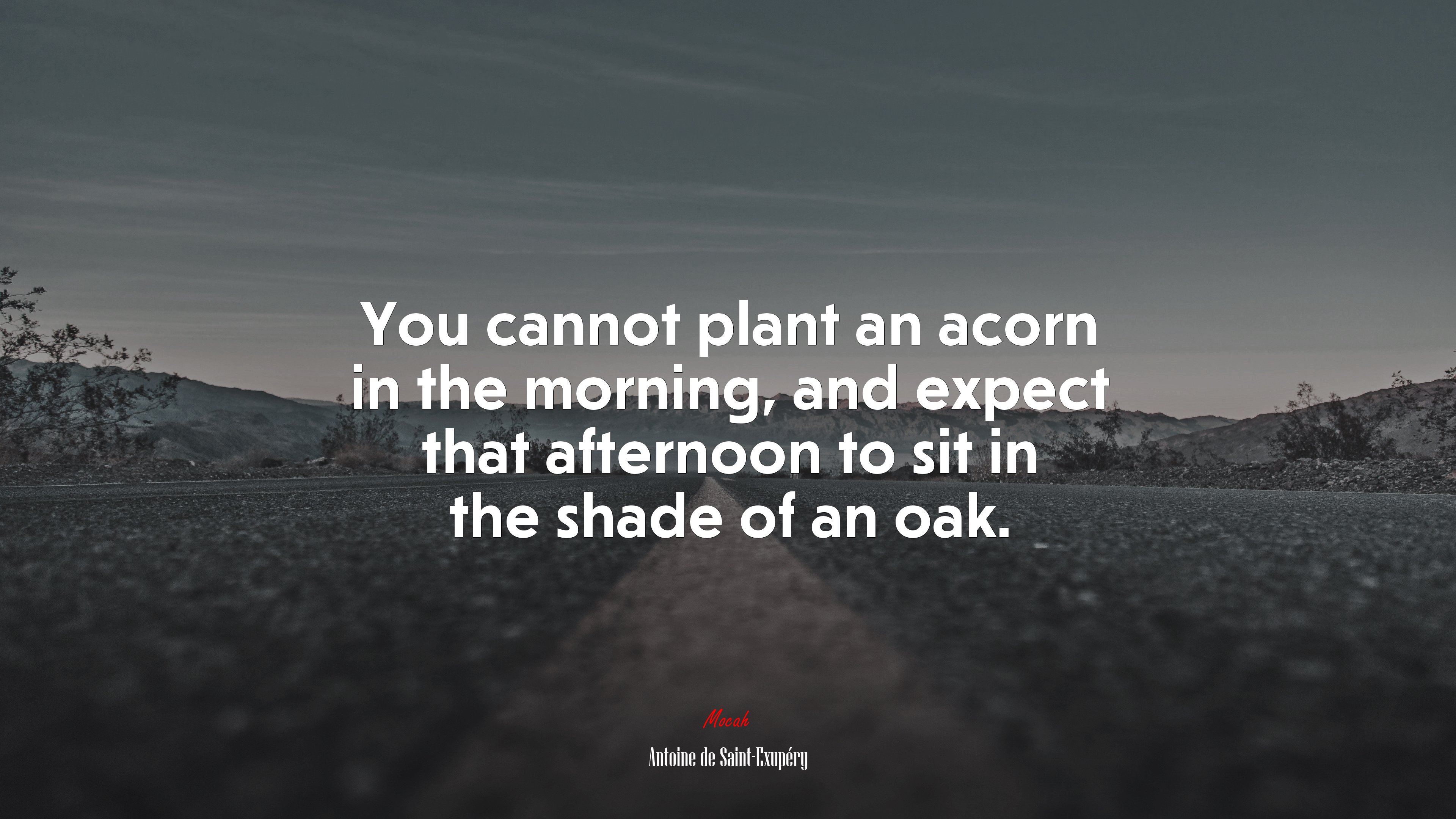 You cannot plant an acorn in the morning, and expect that afternoon to sit in the shade of an oak. | Antoine de Saint-Exupéry quote HD Wallpaper
