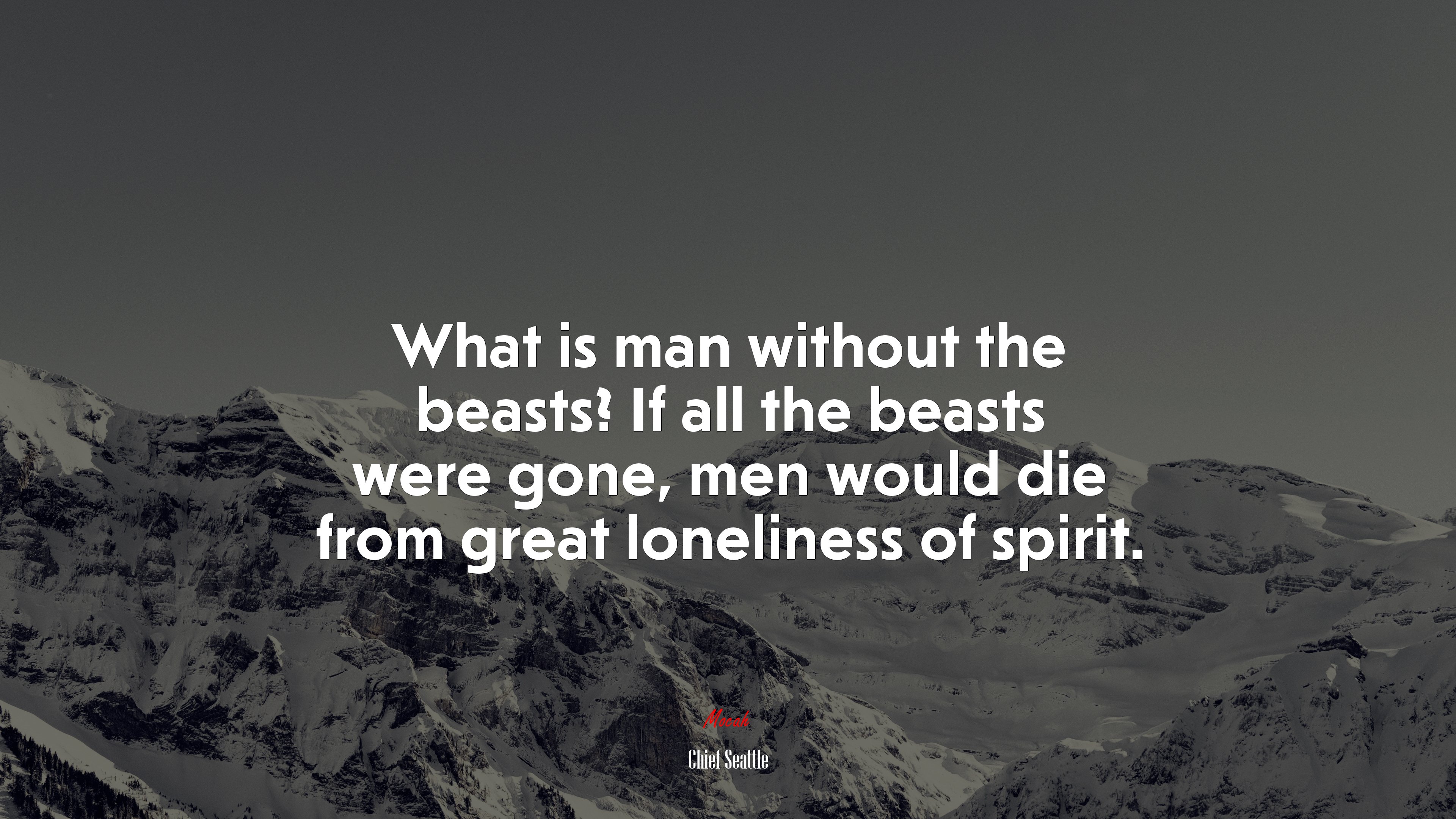What is man without the beasts? If all the beasts were gone, men would die from great loneliness of spirit. | Chief Seattle quote HD Wallpaper