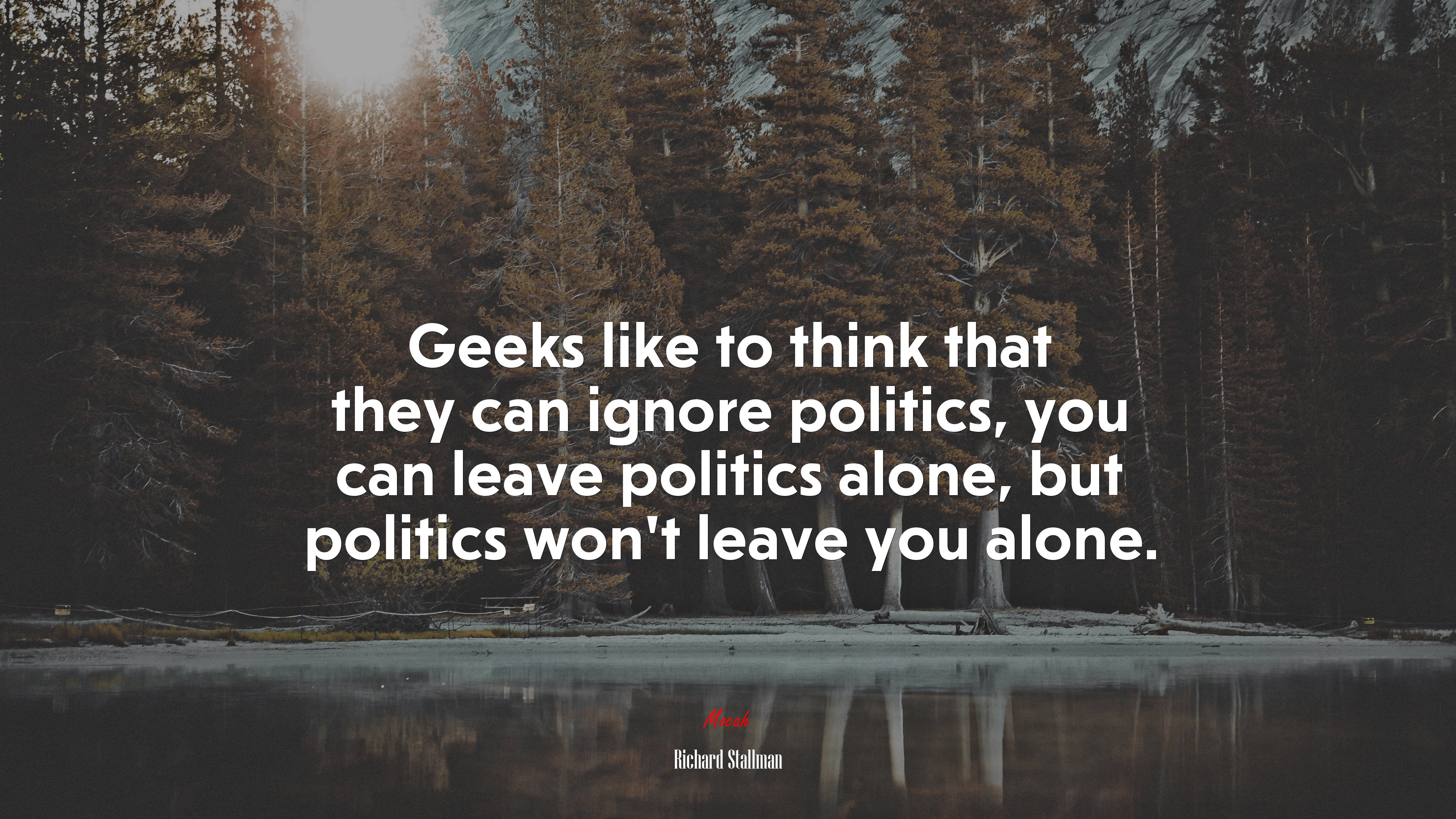 Geeks like to think that they can ignore politics, you can leave politics alone, but politics won’t leave you alone. | Richard Stallman quote HD Wallpaper