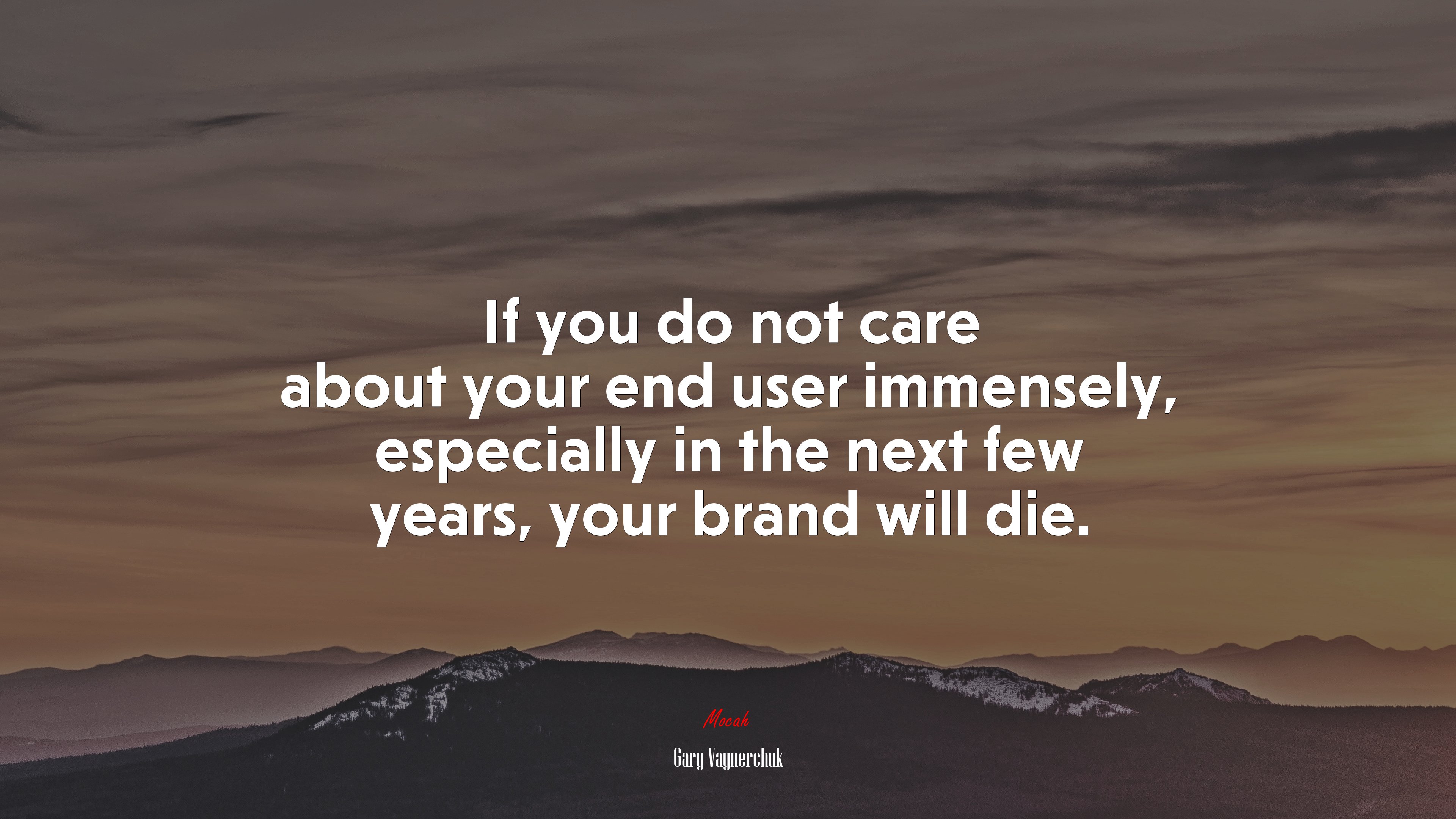 If you do not care about your end user immensely, especially in the next few years, your brand will die. | Gary Vaynerchuk quote HD Wallpaper