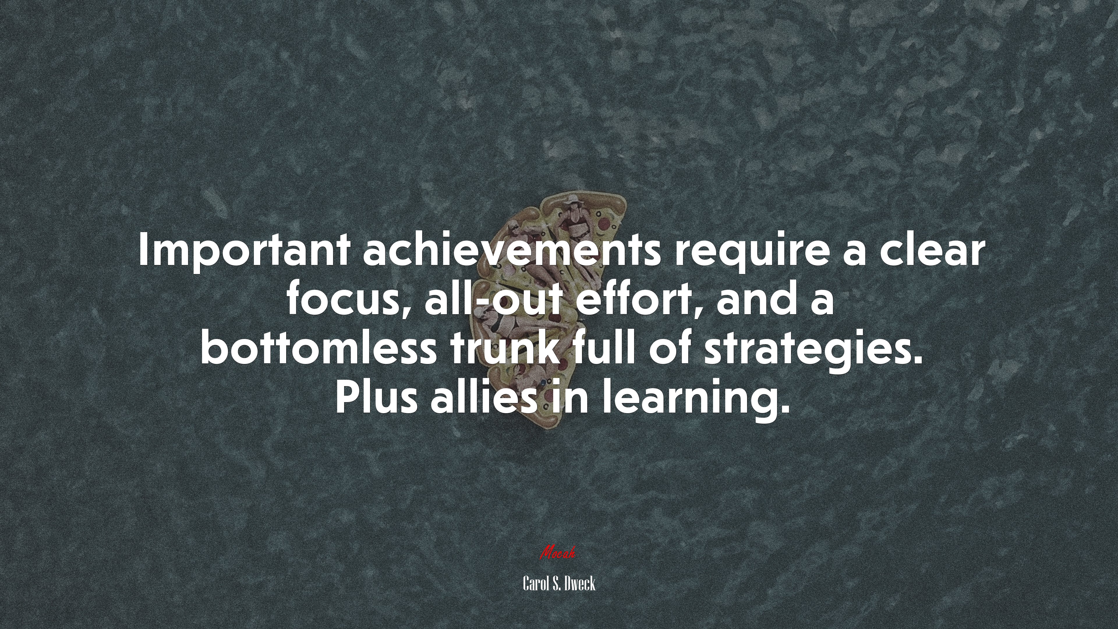 Important achievements require a clear focus, all-out effort, and a bottomless trunk full of strategies. Plus allies in learning. | Carol S. Dweck quote HD Wallpaper