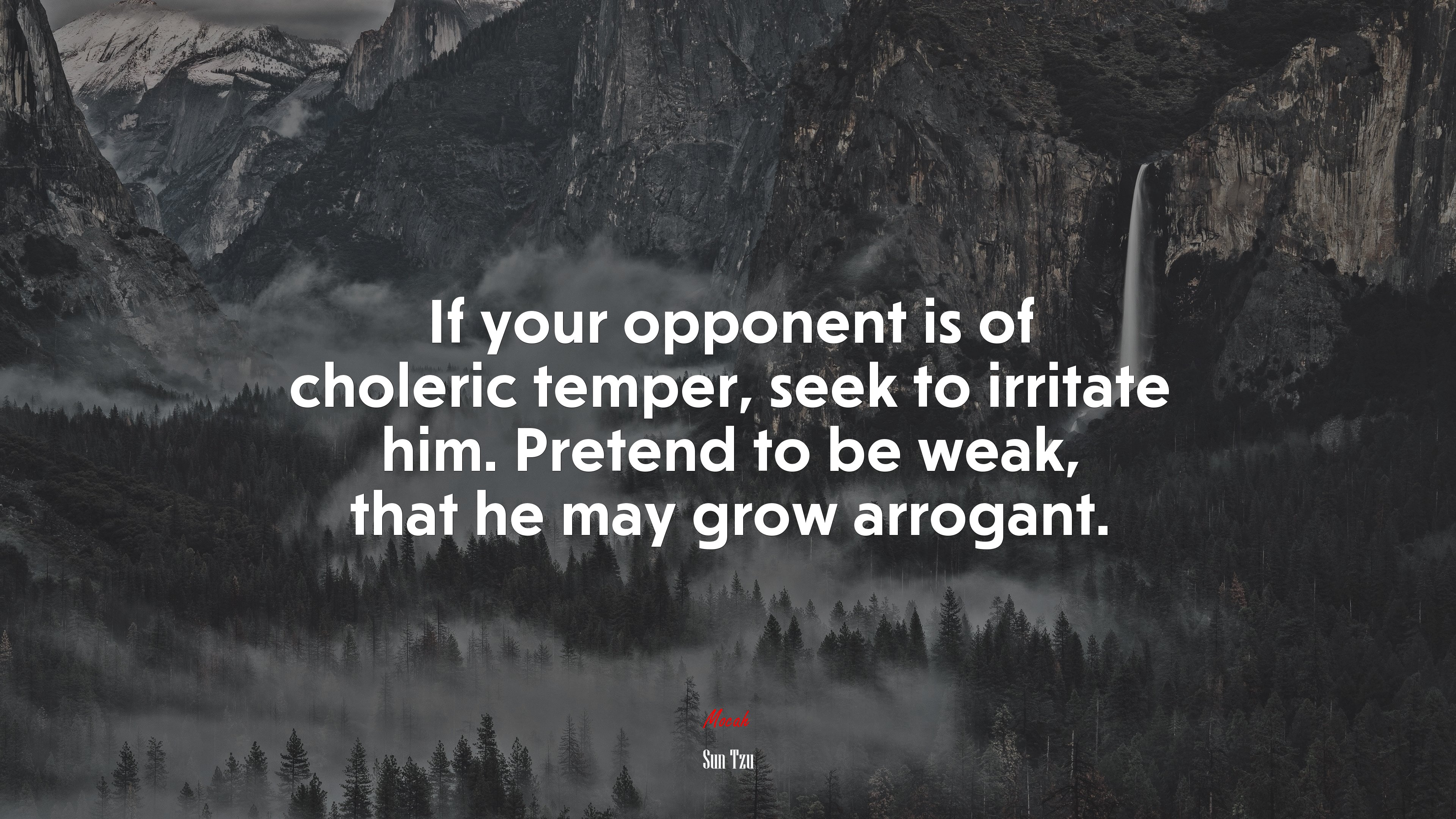 If your opponent is of choleric temper, seek to irritate him. Pretend to be weak, that he may grow arrogant. | Sun Tzu quote HD Wallpaper