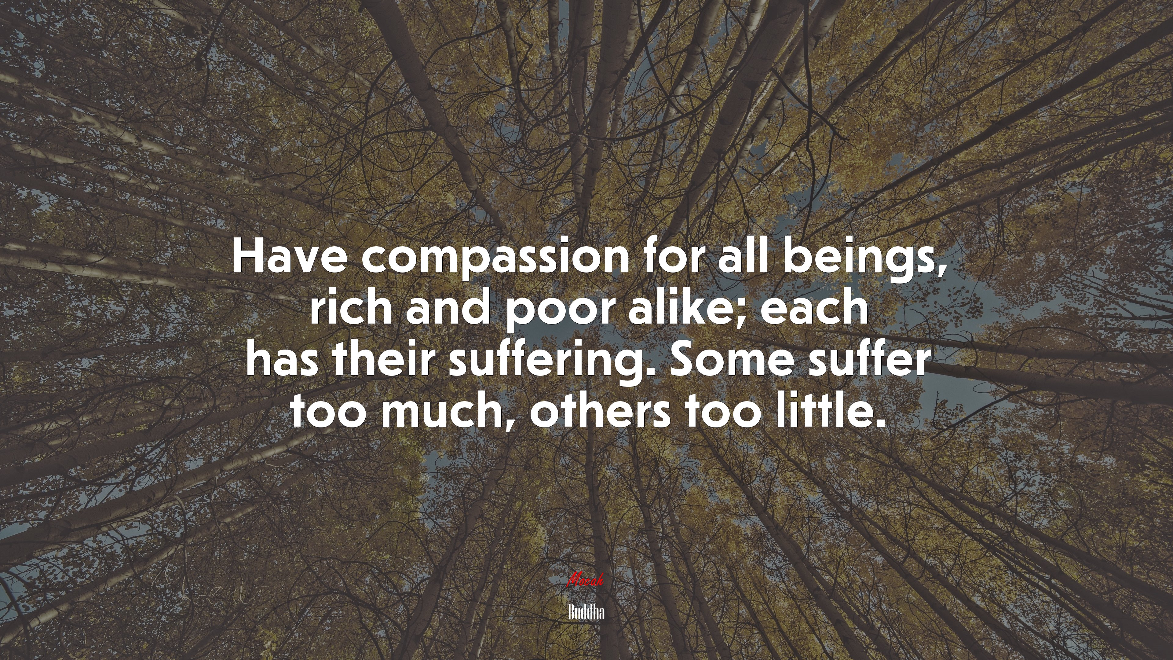 Have compassion for all beings, rich and poor alike; each has their suffering. Some suffer too much, others too little. | Buddha quote HD Wallpaper