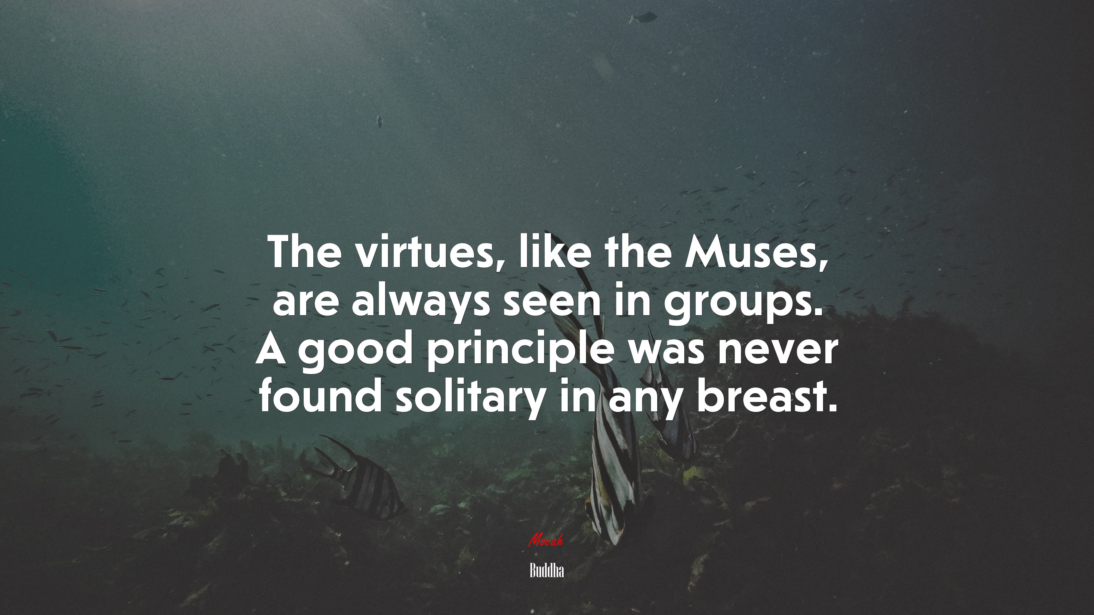 The virtues, like the Muses, are always seen in groups. A good principle was never found solitary in any breast. | Buddha quote HD Wallpaper
