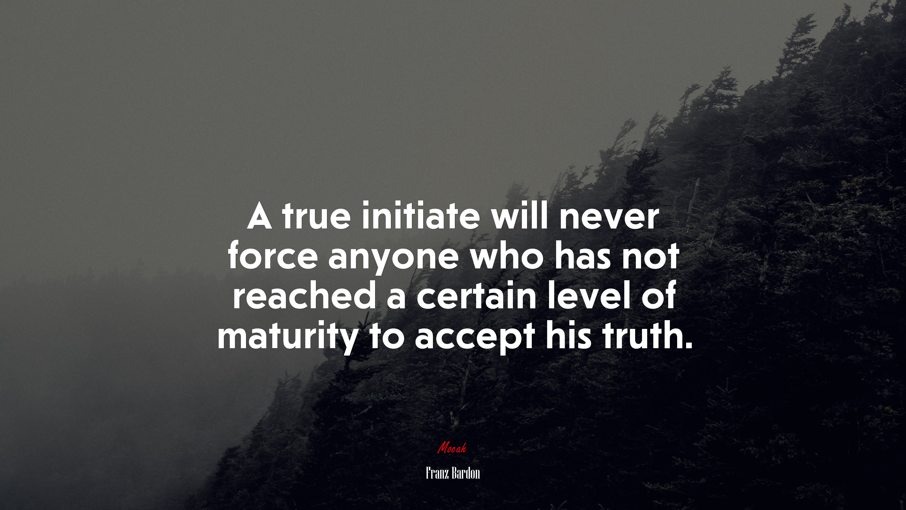 A true initiate will never force anyone who has not reached a certain level of maturity to accept his truth. | Franz Bardon quote HD Wallpaper