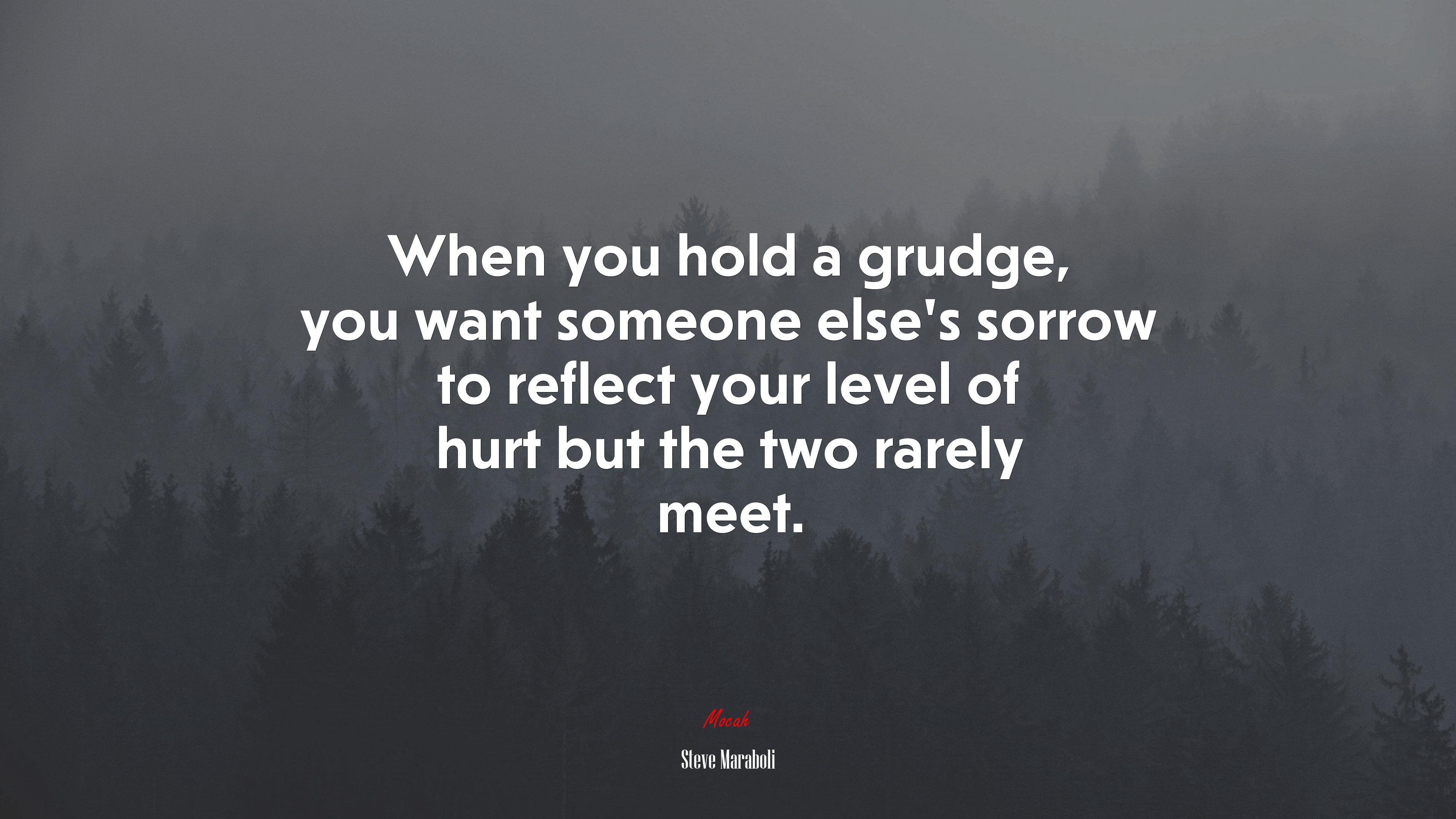 When you hold a grudge, you want someone else’s sorrow to reflect your level of hurt but the two rarely meet. | Steve Maraboli quote HD Wallpaper