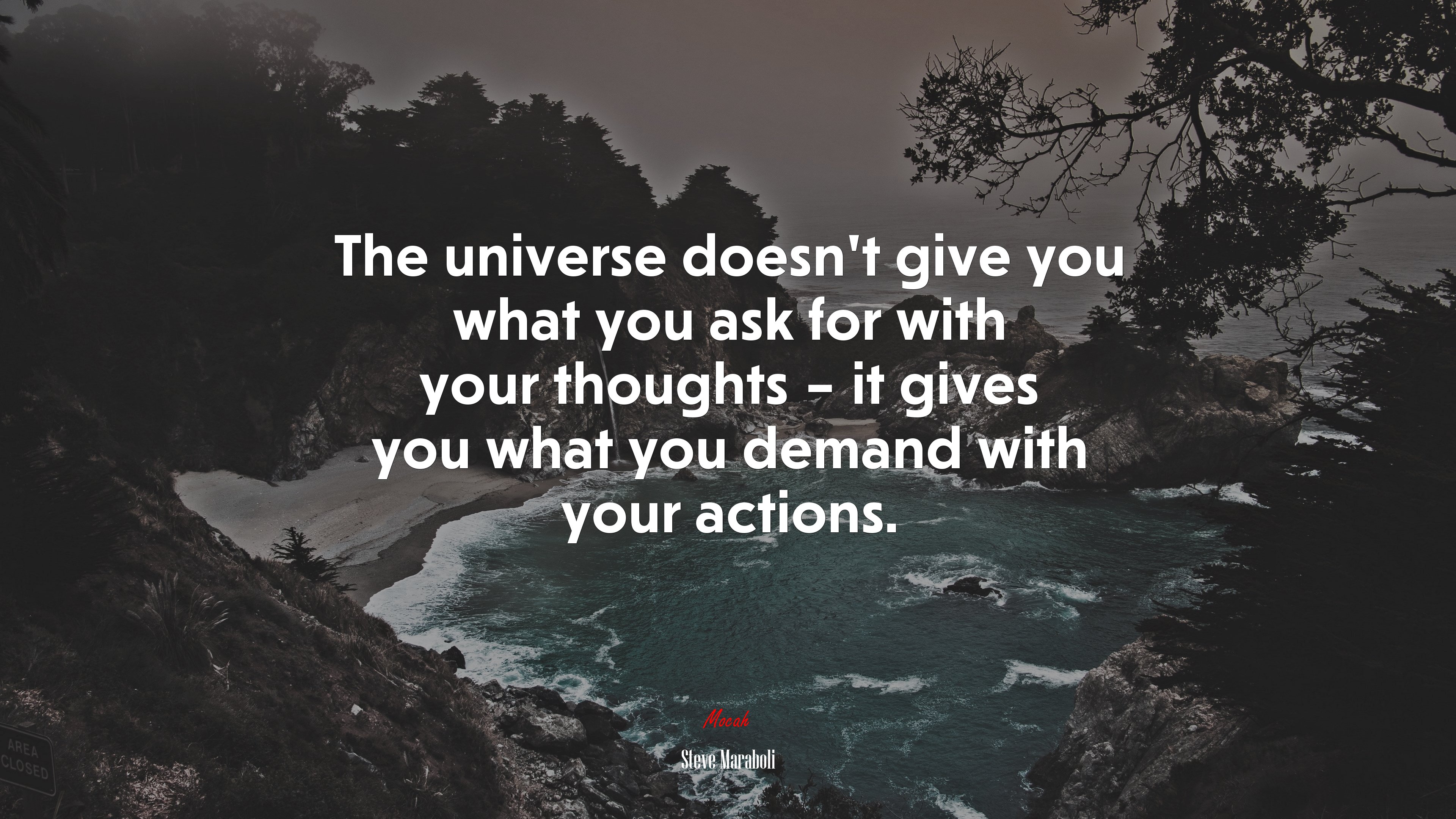 The universe doesn’t give you what you ask for with your thoughts – it gives you what you demand with your actions. | Steve Maraboli quote HD Wallpaper