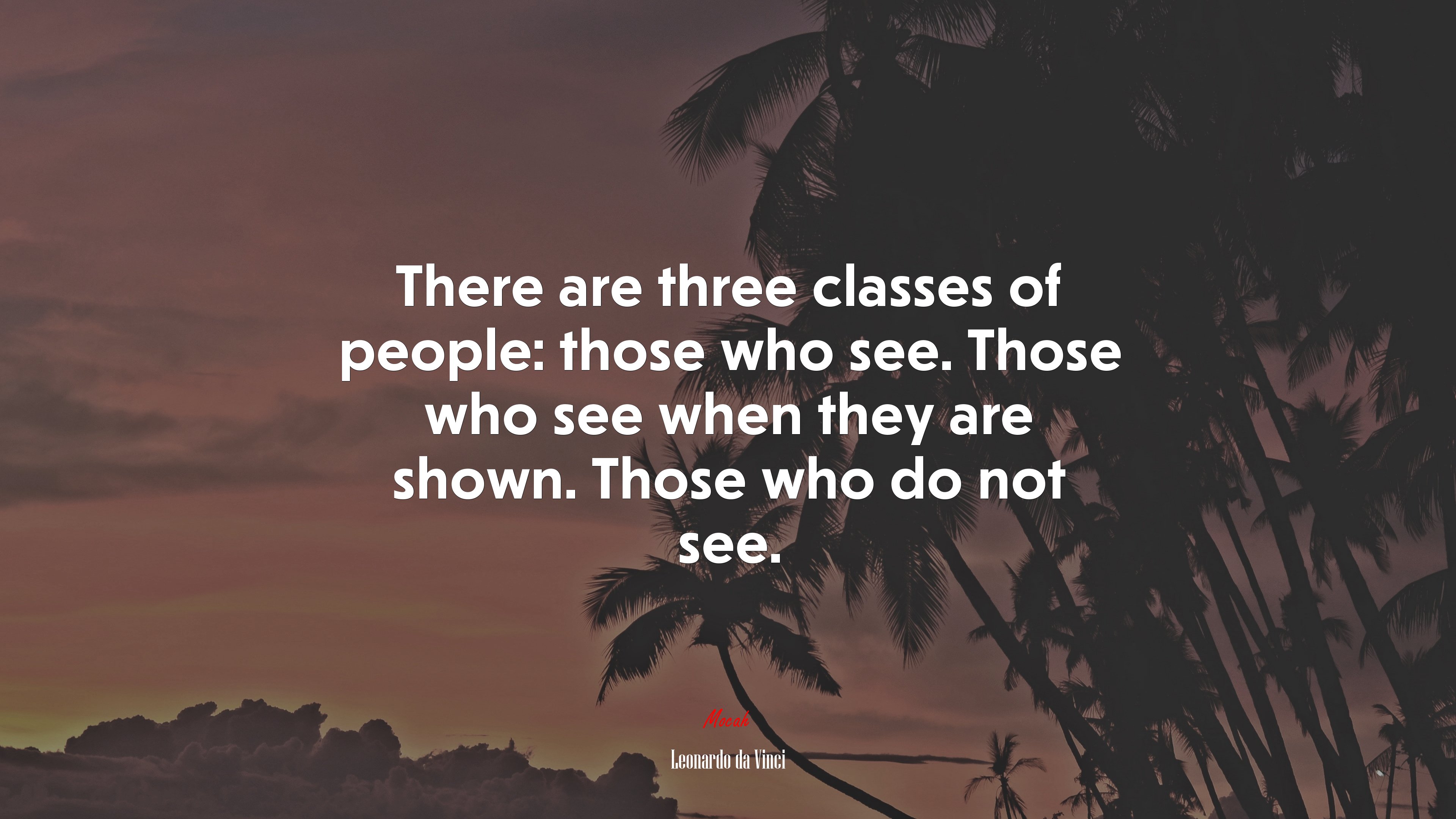 There are three classes of people: those who see. Those who see when they are shown. Those who do not see. | Leonardo da Vinci quote HD Wallpaper