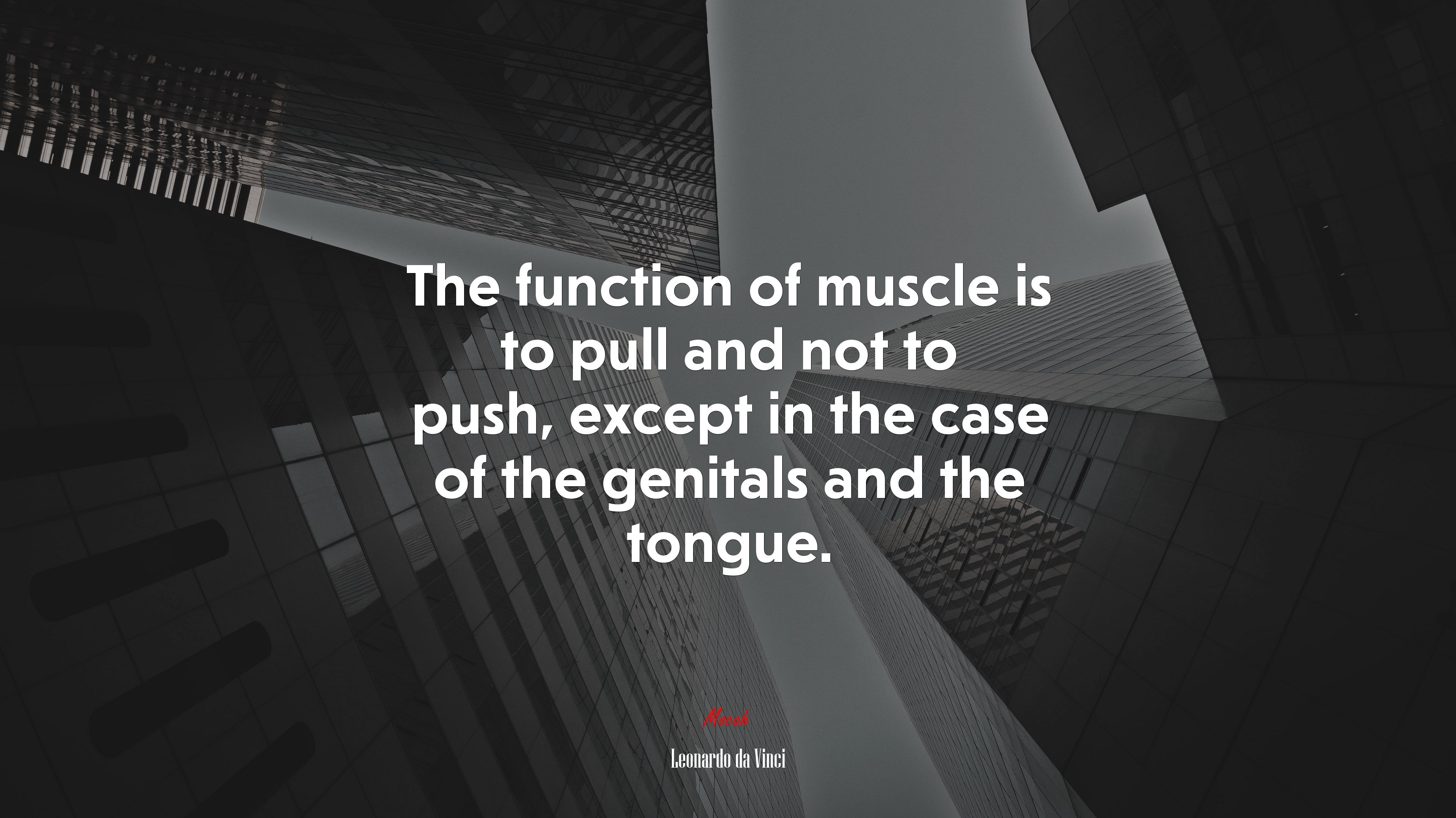 The function of muscle is to pull and not to push, except in the case of the genitals and the tongue. | Leonardo da Vinci quote HD Wallpaper