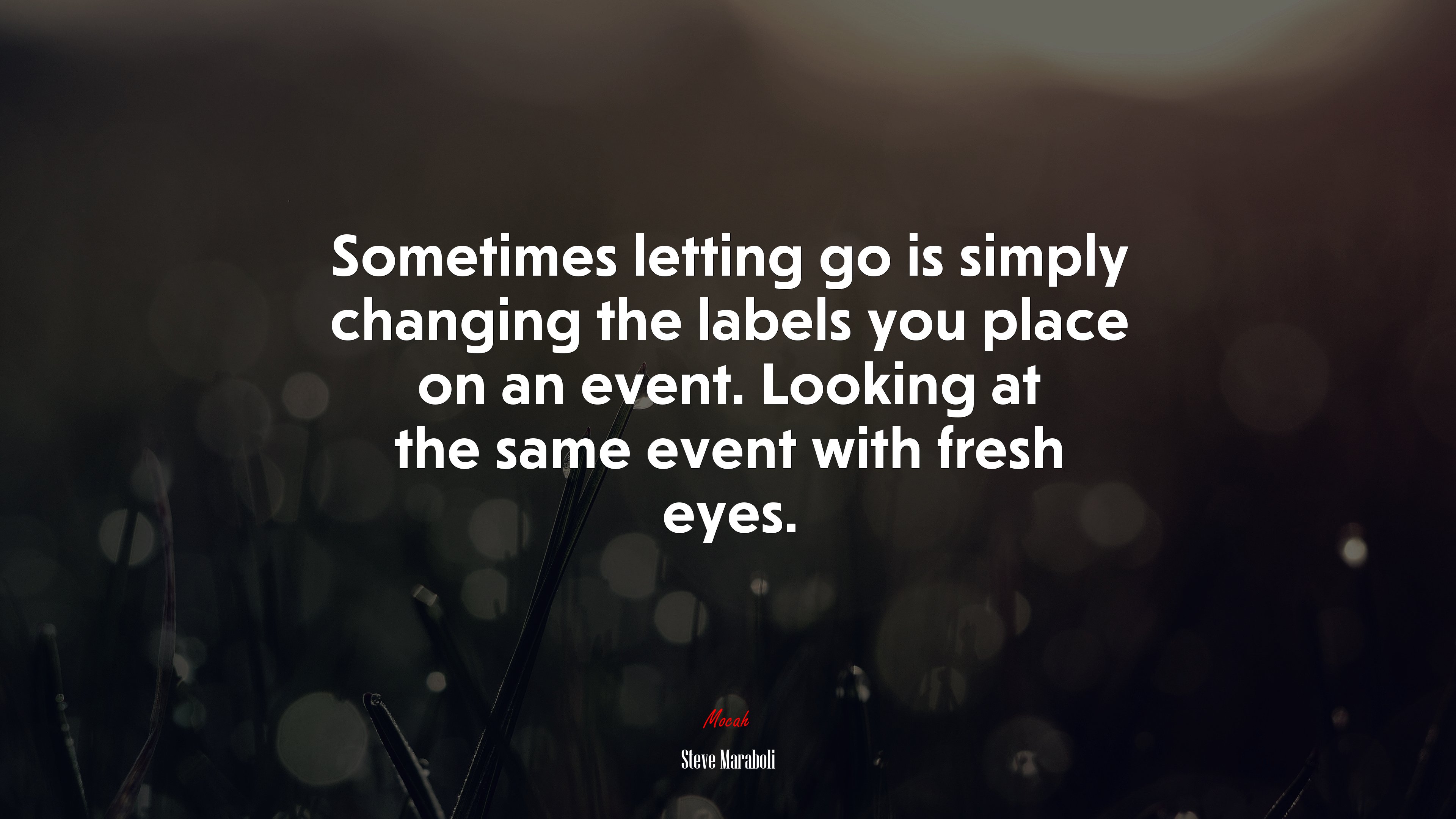 Sometimes letting go is simply changing the labels you place on an event. Looking at the same event with fresh eyes. | Steve Maraboli quote HD Wallpaper