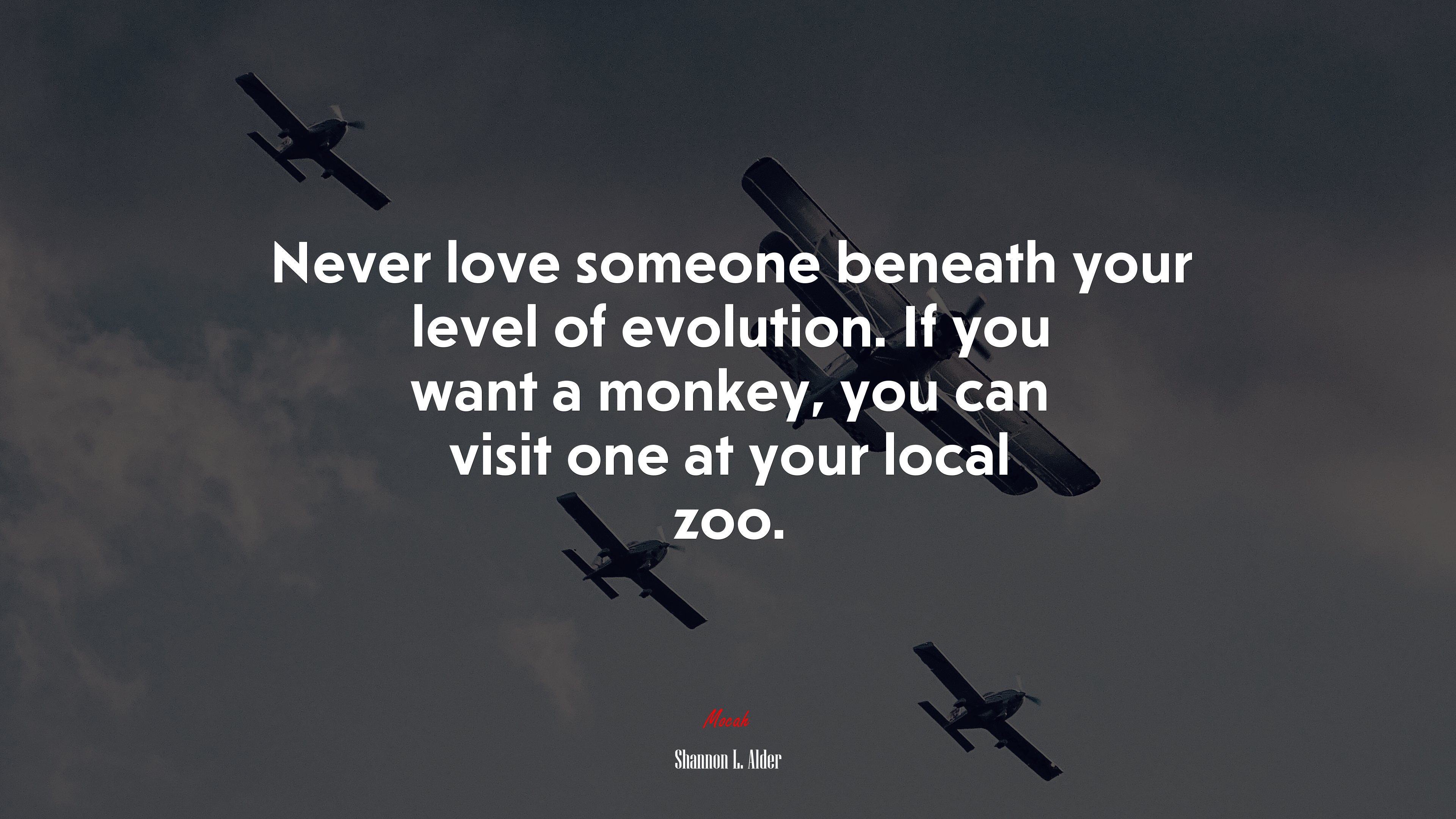 Never love someone beneath your level of evolution. If you want a monkey, you can visit one at your local zoo. | Shannon L. Alder quote HD Wallpaper