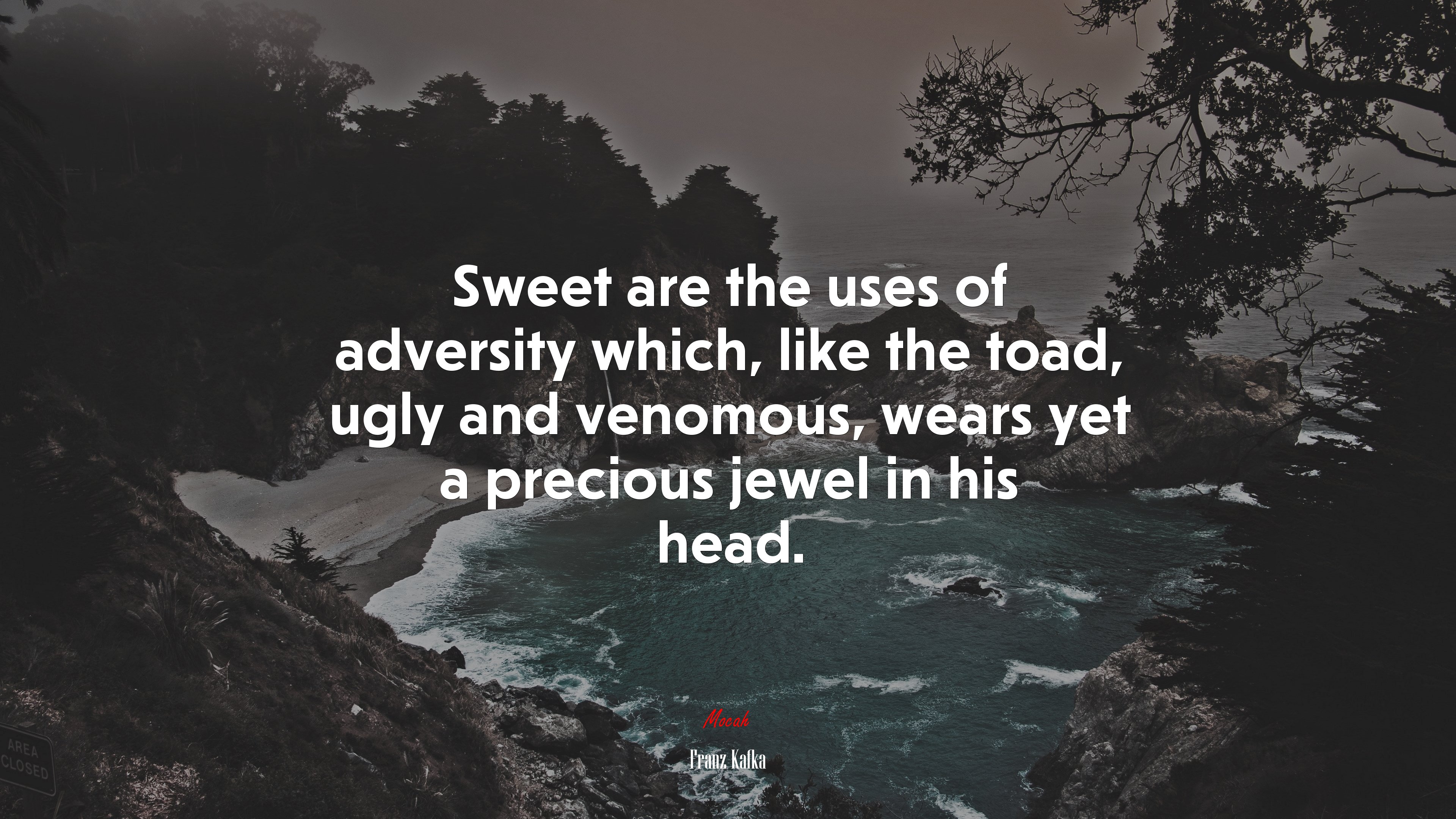 Sweet are the uses of adversity which, like the toad, ugly and venomous, wears yet a precious jewel in his head. | Franz Kafka quote HD Wallpaper