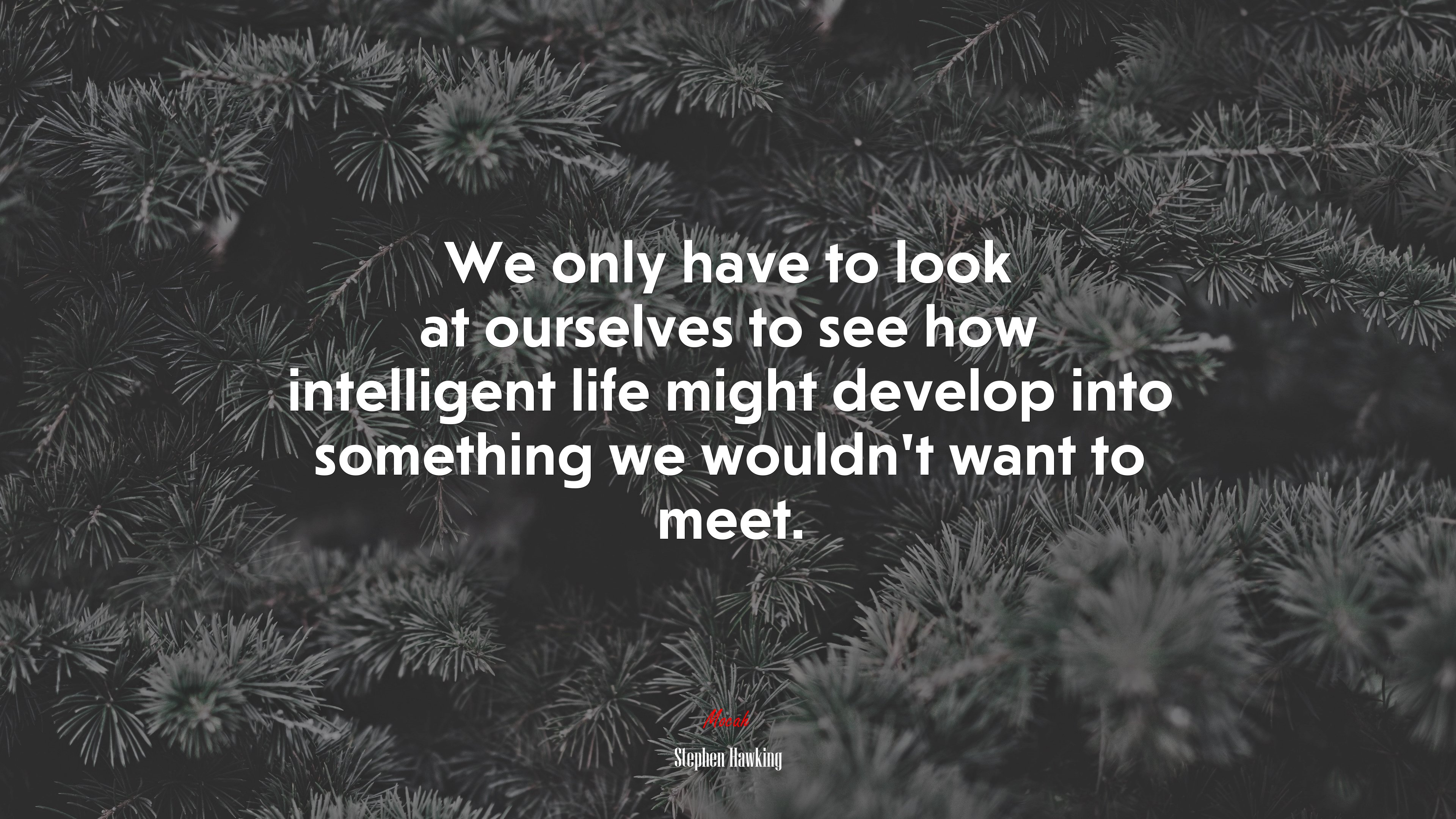 We only have to look at ourselves to see how intelligent life might develop into something we wouldn’t want to meet. | Stephen Hawking quote HD Wallpaper