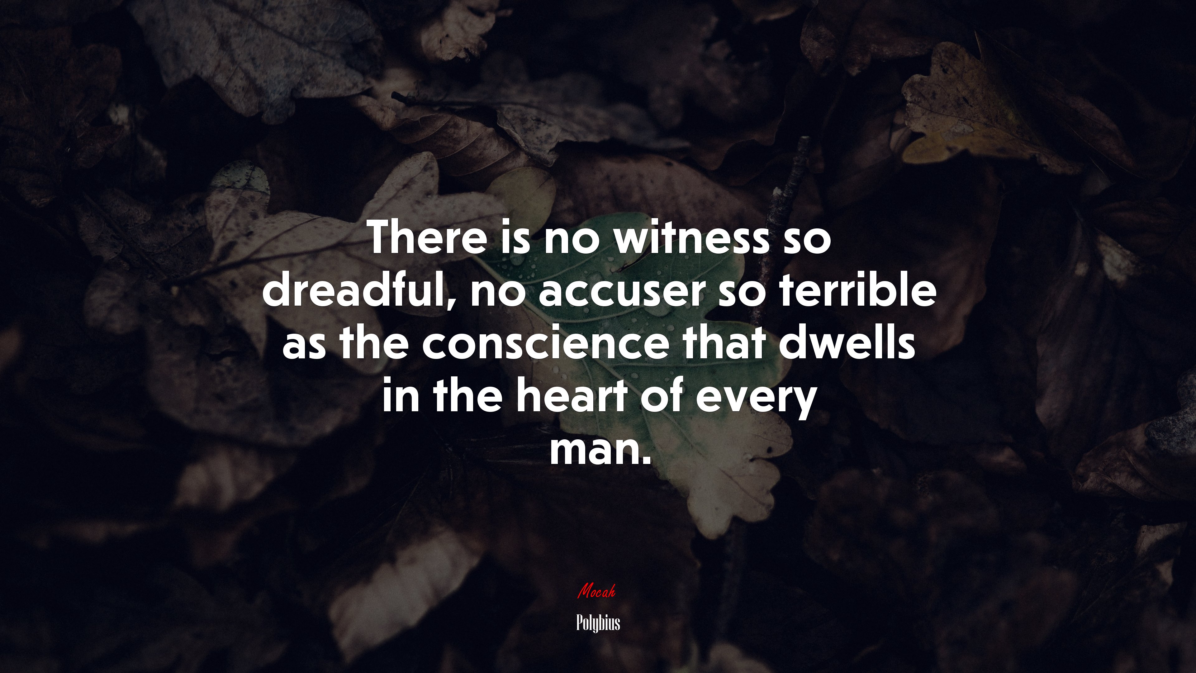 There is no witness so dreadful, no accuser so terrible as the conscience that dwells in the heart of every man. | Polybius quote HD Wallpaper