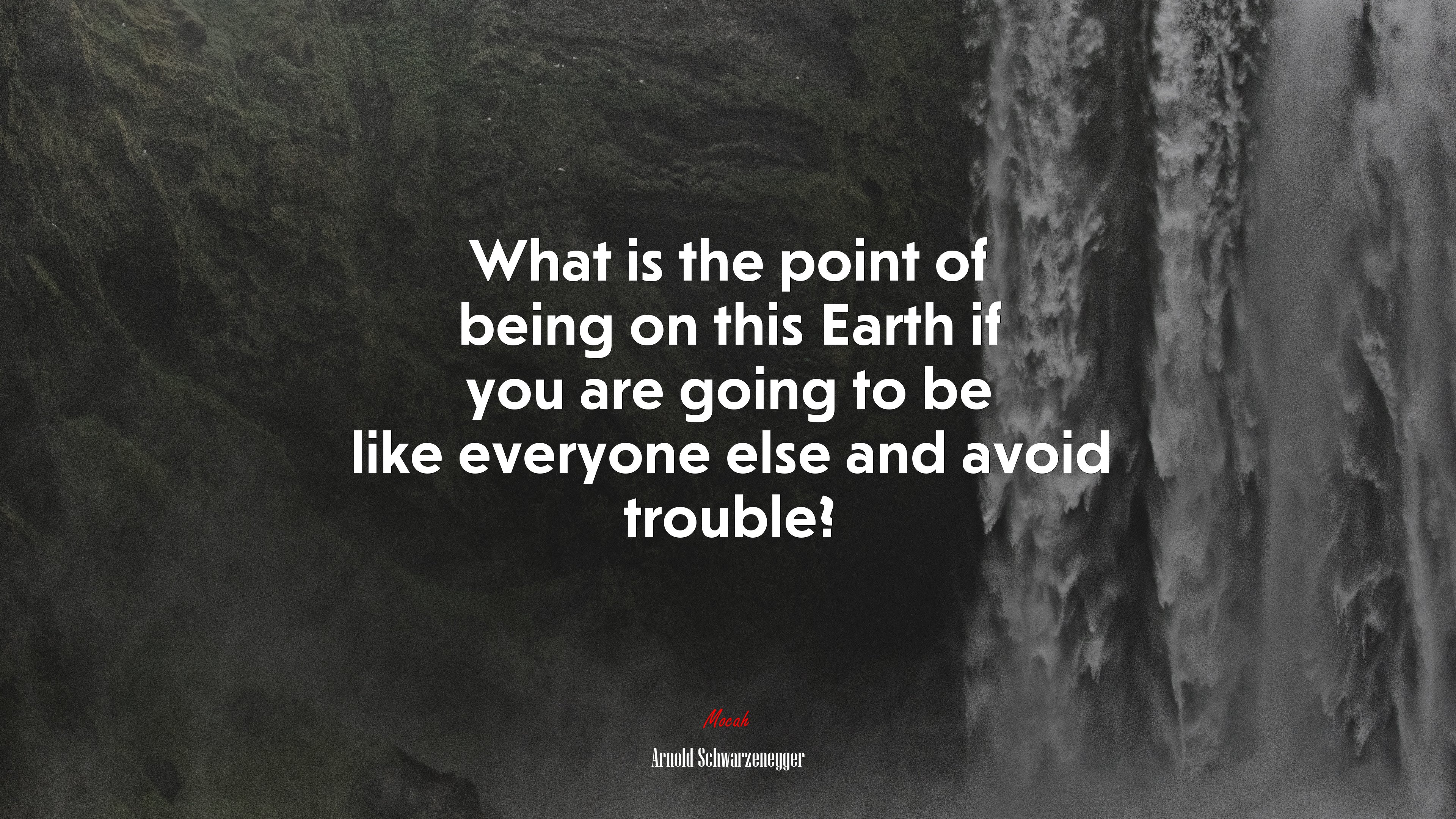 What is the point of being on this Earth if you are going to be like everyone else and avoid trouble? | Arnold Schwarzenegger quote HD Wallpaper