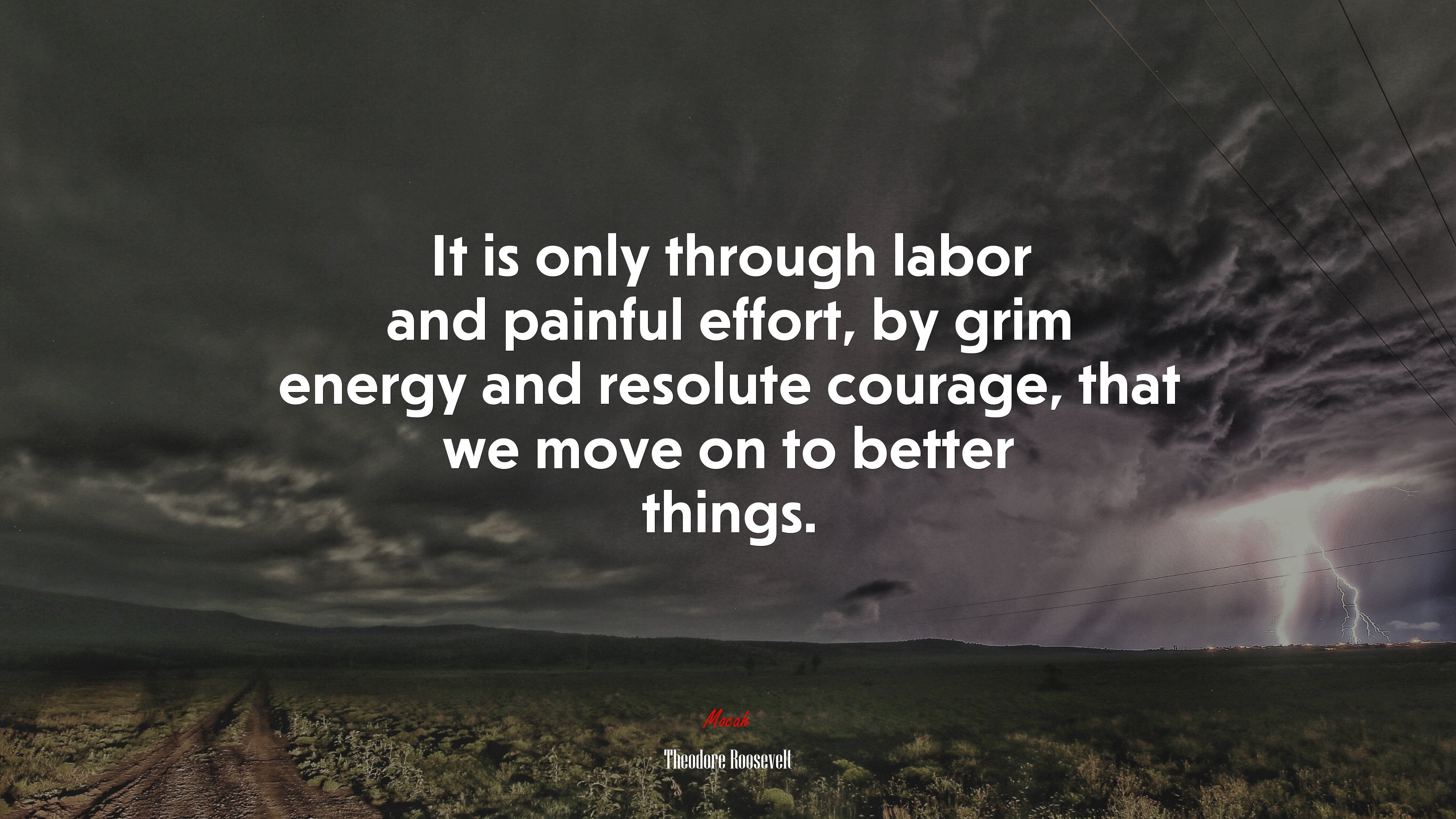 It is only through labor and painful effort, by grim energy and resolute courage, that we move on to better things. | Theodore Roosevelt quote HD Wallpaper